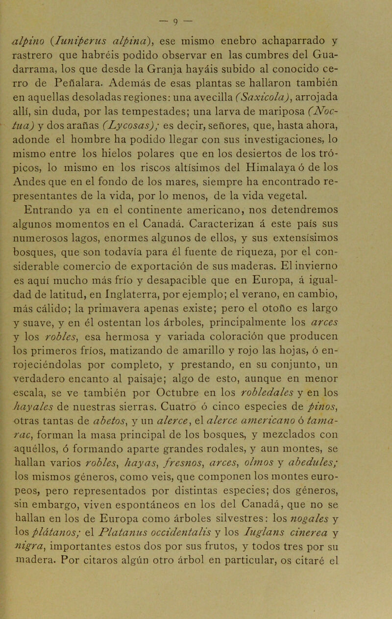 alpino {luniperus alpina)^ ese mismo enebro achaparrado y rastrero que habréis podido observar en las cumbres del Gua- darrama, los que desde la Granja hayáis subido al conocido ce- rro de Peñalara. Además de esas plantas se hallaron también en aquellas desoladas regiones: una avecilla (Saxícola)^ arrojada allí, sin duda, por las tempestades; una larva de mariposa (Noc- tua) y dos arañas (Lycosas); es decir, señores, que, hasta ahora, adonde el hombre ha podido llegar con sus investigaciones, lo mismo entre los hielos polares que en los desiertos de los tró- picos, lo mismo en los riscos altísimos del Himalaya ó de los Andes que en el fondo de los mares, siempre ha encontrado re- presentantes de la vida, por lo menos, de la vida vegetal. Entrando ya en el continente americano, nos detendremos algunos momentos en el Canadá. Caracterizan á este país sus numerosos lagos, enormes algunos de ellos, y sus extensísimos bosques, que son todavía para él fuente de riqueza, por el con- siderable comercio de exportación de sus maderas. El invierno es aquí mucho más frío y desapacible que en Europa, á igual- dad de latitud, en Inglaterra, por ejemplo; el verano, en cambio, más cálido; la primavera apenas existe; pero el otoño es largo y suave, y en él ostentan los árboles, principalmente los arces y los robles^ esa hermosa y variada coloración que producen los primeros fríos, matizando de amarillo y rojo las hojas, ó en- rojeciéndolas por completo, y prestando, en su conjunto, un verdadero encanto al paisaje; algo de esto, aunque en menor escala, se ve también por Octubre en los robledales y en los hayales de nuestras sierras. Cuatro ó cinco especies de pinos, otras tantas de abetos, y un alerce, el alerce americano ó tama- rae, forman la masa principal de los bosques, y mezclados con aquéllos, ó formando aparte grandes rodales, y aun montes, se hallan varios robles, hayas, fresnos, arces, olmos y abedules; los mismos géneros, como veis, que componen los montes euro- peos, pero representados por distintas especies; dos géneros, sin embargo, viven espontáneos en los del Canadá, que no se hallan en los de Europa como árboles silvestres: los nogales y los plátanos; el Platanus occidentalis y los luglans cinérea y nigra, importantes estos dos por sus frutos, y todos tres por su madera. Por citaros algún otro árbol en particular, os citaré el