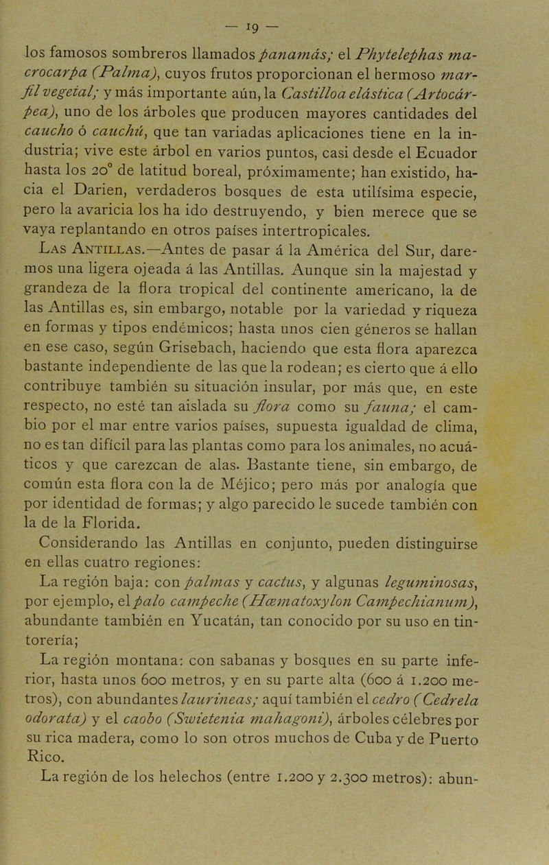 los famosos sombreros llamados panamás; el Phytelephas ma- crocarpa (Palma)^ cuyos frutos proporcionan el hermoso mar- Jil vegetal; y más importante aún, la Castilloa elástica (Artocár- pea)^ uno de los árboles que producen mayores cantidades del caucho ó cauchii^ que tan variadas aplicaciones tiene en la in- dustria; vive este árbol en varios puntos, casi desde el Ecuador hasta los 20° de latitud boreal, próximamente; han existido, ha- cia el Darien, verdaderos bosques de esta útilísima especie, pero la avaricia los ha ido destruyendo, y bien merece que se vaya replantando en otros países intertropicales. Las Antillas.—Antes de pasar á la América del Sur, dare- mos una ligera ojeada á las Antillas. Aunque sin la majestad y grandeza de la flora tropical del continente americano, la de las Antillas es, sin embargo, notable por la variedad y riqueza en formas y tipos endémicos; hasta unos cien géneros se hallan en ese caso, según Grisebach, haciendo que esta flora aparezca bastante independiente de las que la rodean; es cierto que á ello contribuye también su situación insular, por más que, en este respecto, no esté tan aislada su flora como su fauna; el cam- bio por el mar entre varios países, supuesta igualdad de clima, no es tan difícil para las plantas como para los animales, no acuá- ticos y que carezcan de alas. Bastante tiene, sin embargo, de común esta flora con la de Méjico; pero más por analogía que por identidad de formas; y algo parecido le sucede también con la de la Florida. Considerando las Antillas en conjunto, pueden distinguirse en ellas cuatro regiones: La región baja: con palmas y cactus^ y algunas leguminosas, por ejemplo, el palo campeche (Hcematoxylon Campechianum), abundante también en Yucatán, tan conocido por su uso en tin- torería; La región montana: con sabanas y bosques en su parte infe- rior, hasta unos 600 metros, y en su parte alta (600 á 1.200 me- tros), con 2ih\má2intQS laurmeas; aquí también q\ cedro (Cedrela odor ata) y el caobo (Swietenia mahagoni), árboles célebres por su rica madera, como lo son otros muchos de Cuba y de Puerto Rico. La región de los heléchos (entre 1.200 y 2.300 metros): abun-