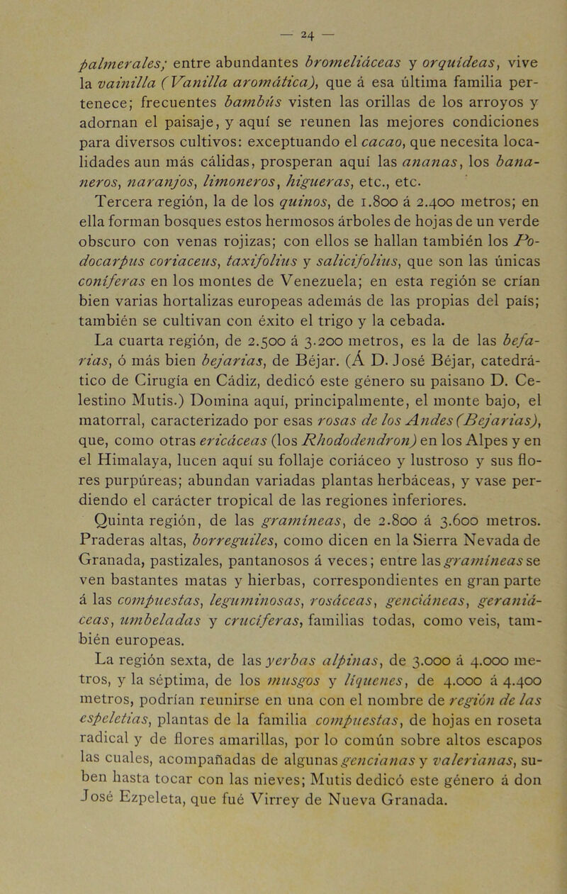 palmerales; entre abundantes bromeliáceas y orquídeas^ vive la vainilla (Vanilla aromática)^ que á esa última familia per- tenece; frecuentes bambiis visten las orillas de los arroyos y adornan el paisaje, y aquí se reúnen las mejores condiciones para diversos cultivos: exceptuando el cacao, que necesita loca- lidades aun más cálidas, prosperan aquí las ananas, los bana- neros, naranjos, limoneros, higueras, etc., etc. Tercera región, la de los qumos, de 1.800 á 2.400 metros; en ella forman bosques estos hermosos árboles de hojas de un verde obscuro con venas rojizas; con ellos se hallan también los Po- docarpus coriaceus, taxifolius y salicifolius, que son las únicas coniferas en los montes de Venezuela; en esta región se crían bien varias hortalizas europeas además de las propias del país; también se cultivan con éxito el trigo y la cebada. La cuarta región, de 2.500 á 3.200 metros, es la de las befa- rias, ó más bien bejarias, de Béjar. (Á D. José Béjar, catedrá- tico de Cirugía en Cádiz, dedicó este género su paisano D. Ce- lestino Mutis.) Domina aquí, principalmente, el monte bajo, el matorral, caracterizado por esas rosas de los Andes (Bejarias), que, como otras ericáceas (los Rhododendron) los Alpes y en el Himalaya, lucen aquí su follaje coriáceo y lustroso y sus flo- res purpúreas; abundan variadas plantas herbáceas, y vase per- diendo el carácter tropical de las regiones inferiores. Quinta región, de las gramíneas, de 2.800 á 3.600 metros. Praderas altas, borreguiles, como dicen en la Sierra Nevada de Granada, pastizales, pantanosos á veces; entre gramíneas ven bastantes matas y hierbas, correspondientes en gran parte á las compuestas, leguminosas, rosáceas, genciáneas, geraniá- ceas, umbeladas y cruciferas, familias todas, como veis, tam- bién europeas. La región sexta, de las yerbas alpinas, de 3.000 á 4.000 me- tros, y la séptima, de los musgos y liqúenes, de 4.000 á 4.400 metros, podrían reunirse en una con el nombre de región de las espeletias, plantas de la familia compuestas, de hojas en roseta radical y de flores amarillas, por lo común sobre altos escapos las cuales, acompañadas de d\gur\?i^ ge7icianas y vale7'ianas, su- ben hasta tocar con las nieves; Mutis dedicó este género á don José Ezpeleta, que fué Virrey de Nueva Granada.