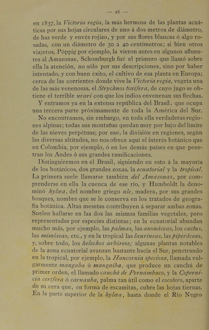 — 2Ó — en 1837, la Victoria regia^ la más hermosa de las plantas acuá- ticas por sus hojas circulares de uno á dos metros de diámetro, de haz verde y envés rojizo, y por sus flores blancas ó algo ro- sadas, con un diámetro de 30 á 40 centímetros; si bien otros viajeros, Poppig por ejemplo, la vieron antes en algunos afluen- tes al Amazonas, Schomburgh fué el primero que llamó sobre ella la atención, no sólo por sus descripciones, sino por haber intentado, y con buen éxito, el cultivo de esa planta en Europa' cerca de las corrientes donde vive la Victoria regia, vegeta una de las más venenosas, el Strychnos toxifera, de cuyo jugo se ob- tiene el terrible iirari con que los indios envenenan sus flechas.. Y entramos ya en la extensa república del Brasil, que ocupa una tercera parte próximamente de toda la América del Sur, No encontramos, sin embargo, en toda ella verdaderas regio- nes alpinas; todas sus montañas quedan muy por bajo del límite de las nieves perpétuas; por eso, la división en regiones, según las diversas altitudes, no nos ofrece aquí el interés botánico que en Colombia, por ejemplo, ó en los demás países en que pene- tran los Andes ó sus grandes ramificaciones. Distinguiremos en el Brasil, siguiendo en esto á la mayoría de los botánicos, dos grandes zonas, la ecuatorial y la tropical. La primera suele llamarse también del Amazonas, por com- prenderse en ella la cuenca de ese río, y Humboldt la deno- minó hylcea, del nombre griego ule, madera, por sus grandes bosques, nombre que se le conserva en los tratados de geogra- fía botánica. Altas mesetas contribuyen á separar ambas zonas. Suelen hallarse en las dos las mismas familias vegetales, pera representadas por especies distintas; en la ecuatorial abundan mucho más, por ejemplo, las palmas, las anonáceas, los cactus, las mimoseas, etc., y en la tropical las lauríneas, las piperáceas, y, sobre todo, los heléchos arbóreos; algunas plantas notables de la zona ecuatorial avanzan bastante hacia el Sur, penetranda en la tropical, por ejemplo, la Hancornia speciosa, llamada vul- garmente maiigaha ó mangaiba, que produce un cauchú de primer orden, el llamado cauchii de Perjiambuco, y la Coperni- cia cerífera ó caimauba, palma tan útil como el cocotero, aparte de su cera que, en forma de escamitas, cubre las hojas tiernas. En la parte superior de la liylcea, hasta donde el Río Negro