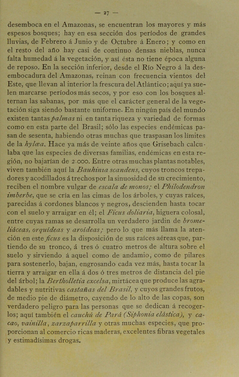 desemboca en el Amazonas, se encuentran los mayores y más espesos bosques; hay en esa sección dos períodos de grandes lluvias, de Febrero á Junio y de Octubre á Enero; y como en el resto del año hay casi de continuo densas nieblas, nunca falta humedad á la vegetación, y así ésta no tiene época alguna de reposo. En la sección inferior, desde el Río Negro á la des- embocadura del Amazonas, reinan con frecuencia vientos del Este, que llevan al interior la frescura del Atlántico; aquí 3'a sue- len marcarse períodos más secos, y por eso con los bosques al- ternan las sabanas, por más que el carácter general de la vege- tación siga siendo bastante uniforme. En ningún país del mundo existen tantasni en tanta riqueza y variedad de formas como en esta parte del Brasil; sólo las especies endémicas pa- san de sesenta, habiendo otras muchas que traspasan los limites de la hylcea. Hace ya más de veinte años que Grisebach calcu- laba que las especies de diversas familias, endémicas en esta re- gión, no bajarían de 2.000. Entre otras muchas plantas notables, viven también aquí la Bauhinia scandens^ cuyos troncos trepa- dores y acodillados á trechospor la sinuosidad de su crecimiento, reciben el nombre vulgar de escala de monos; el Philodendron imberbe^ que se cría en las cimas de los árboles, y cuyas raíces, parecidas á cordones blancos y negros, descienden hasta tocar con el suelo y arraigar en él; el Ficiis doliarta, higuera colosal, entre cuyas ramas se desarrolla un verdadero jardin de broine- liáceas, orquídeas y aroideas; pero lo que más llama la aten- ción en este Jicus es la disposición de sus raíces aéreas que, par- tiendo de su tronco, á tres ó cuatro metros de altura sobre el suelo y sirviendo á aquel como de andamio, como de pilares para sostenerlo, bajan, engrosando cada vez más, hasta tocar la tierra y arraigar en ella á dos ó tres metros de distancia del pie del árbol; la Bertholletia excelsa^ mirtáceaque produce las agra- dables y nutritivas castañas del Brasil^ y cuyos grandes frutos, de medio pie de diámetro, cayendo de lo alto de las copas, son verdadero peligro para las personas que se dedican á recoger- los; aquí también el cauchii de Para (Siphoma elástica)^ y ca- cao^ vainilla^ zarzaparrilla y otras muchas especies, que pro- porcionan al comercio ricas maderas, excelentes fibras vegetales y estimadísimas drogas.