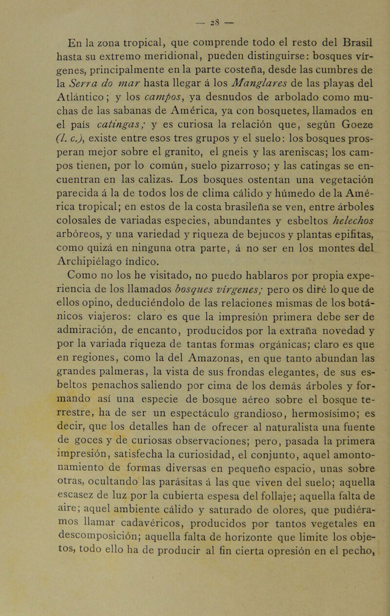 En la zona tropical, que comprende todo el resto del Brasil hasta su extremo meridional, pueden distinguirse: bosques vír- genes, principalmente en la parte costeña, desde las cumbres de la Serra do mar hasta llegar á los Manglares de las playas del Atlántico; y los campos., ya desnudos de arbolado como mu- chas de las sabanas de América, ya con bosquetes, llamados en el país catingas; y es curiosa la relación que, según Goeze (l. c.J, existe entre esos tres grupos y el suelo: los bosques pros- peran mejor sobre el granito, el gneis y las areniscas; los cam- pos tienen, por lo común, suelo pizarroso; y las catingas se en- cuentran en las calizas. Los bosques ostentan una vegetación parecida á la de todos los de clima cálido y húmedo de la Amé- rica tropical; en estos de la costa brasileña se ven, entre árboles colosales de variadas especies, abundantes y esbeltos heléchos arbóreos, y una variedad y riqueza de bejucos y plantas epífitas, como quizá en ninguna otra parte, á no ser en los montes del Archipiélago índico. Como no los he visitado, no puedo hablaros por propia expe- riencia de los llamados bosques vírgenes; pero os diré lo que de ellos opino, deduciéndolo de las relaciones mismas de los botá- nicos viajeros: claro es que la impresión primera debe ser de admiración, de encanto, producidos por la extraña novedad y por la variada riqueza de tantas formas orgánicas; claro es que en regiones, como la del Amazonas, en que tanto abundan las grandes palmeras, la vista de sus frondas elegantes, de sus es- beltos penachos saliendo por cima de los demás árboles y for- mando así una especie de bosque aéreo sobre el bosque te- rrestre, ha de ser un espectáculo grandioso, hermosísimo; es decir, que los detalles han de ofrecer al naturalista una fuente de goces y de curiosas observaciones; pero, pasada la primera impresión, satisfecha la curiosidad, el conjunto, aquel amonto- namiento de formas diversas en pequeño espacio, unas sobre otras, ocultando las parásitas á las que viven del suelo; aquella escasez de luz por la cubierta espesa del follaje; aquella falta de aire; aquel ambiente cálido y saturado de olores, que pudiéra- mos llamar cadavéricos, producidos por tantos vegetales en descomposición; aquella falta de horizonte que limite los obje- tos, todo ello ha de producir al fin cierta opresión en el pecho,