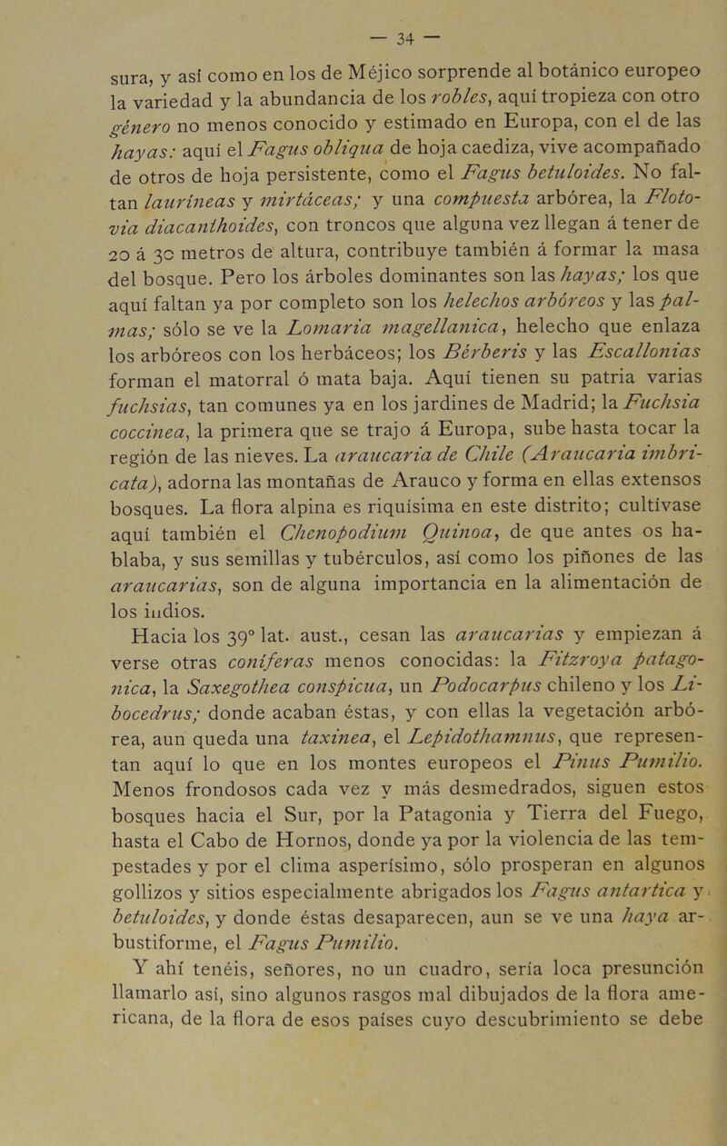 sura, y así como en los de Méjico sorprende al botánico europeo la variedad y la abundancia de los robles, aquí tropieza con otro género no menos conocido y estimado en Europa, con el de las hayas: aquí el Fagiis ohliqiia de hoja caediza, vive acompañado de otros de hoja persistente, como el Fagiis betuloides. No fal- tan lauríneas y mirtáceas; y una compuesta arbórea, la Floto- vía diacanthoides, con troncos que alguna vez llegan á tener de 20 á 30 metros de altura, contribuye también á formar la masa del bosque. Pero los árboles dominantes son \2.%hayas; los que aquí faltan ya por completo son los heléchos arbóreos y las pal- mas; sólo se ve la Lo7naria magellanica, helécho que enlaza los arbóreos con los herbáceos; los Berberís y las Escallonías forman el matorral ó mata baja. Aquí tienen su patria varias fuchsías, tan comunes ya en los jardines de Madrid; X'd.Fuchsía coccínea, la primera que se trajo á Europa, sube hasta tocar la región de las nieves. La araucaria de Chile (Araucaria imbri- cata), adorna las montañas de Arauco y forma en ellas extensos bosques. La flora alpina es riquísima en este distrito; cultívase aquí también el Chenopodium Quvioa, de que antes os ha- blaba, y sus semillas y tubérculos, así como los piñones de las araucarias, son de alguna importancia en la alimentación de los indios. Hacia los 39° lat. aust., cesan las araucarias y empiezan á verse otras coniferas menos conocidas: la Fitzroya patagó- nica, la Saxegothea conspicua, un Podocarpus chileno y los Li- bocedrus; donde acaban éstas, y con ellas la vegetación arbó- rea, aun queda una taxinea, el Lepidothamnus, que represen- tan aquí lo que en los montes europeos el Pinus Pmnilio. Menos frondosos cada vez y más desmedrados, siguen estos bosques hacia el Sur, por la Patagonia y Tierra del Fuego, hasta el Cabo de Hornos, donde ya por la violencia de las tem- pestades y por el clima asperísimo, sólo prosperan en algunos gollizos y sitios especialmente abrigados los Fagus antartica y betuloides, y donde éstas desaparecen, aun se ve una haya ar- bustiforme, el Fagus Pumilio. Y ahí tenéis, señores, no un cuadro, sería loca presunción llamarlo así, sino algunos rasgos mal dibujados de la flora ame- ricana, de la flora de esos países cuyo descubrimiento se debe