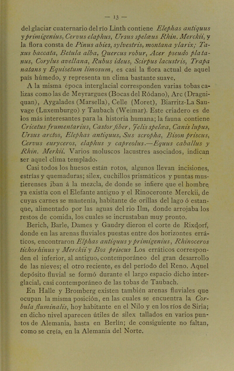 del glaciar cuaternario del río Linth contiene Elephas antiquus yprimigenius, Cervus elaphus, Ursus spelceus Rhin. Merckii, y la flora consta de Pinus adíes, sylvestrís, montana ylarix; Ta- xus baccata, Batida alba, Quercus robur, Acer pseudo plata- nus, Corylus avellana, Rubus ideus, Scírpus lacustris, Trapa natans y Equisetum limosum, es casi la flora actual de aquel país húmedo, y representa un clima bastante suave. A la misma época interglacial corresponden varias tobas ca- lizas como las de Meyrargues (Bocas del Ródano), Are (Dragni- quan), Aygalades (Marsella), Celle (Moret), Biarritz-La Sau- vage (Luxemburgo) y Taubach (Weimar). Este criadero es de los más interesantes para la historia humana; la fauna contiene Cricetus framentaríus, Castorfiber, 'felis speleva, Canis lupus, Ursus arctos, Elephas antiquus, Sus scropha, Bison priscus, Cervus euryceros, elaphus y capreolus.— Equus caballus y Rhin. Merkii. Varios moluscos lacustres asociados, indican ser aquel clima templado. Casi todos los huesos están rotos, algunos llevan incisiones, estrías y quemaduras; silex, cuchillos prismáticos y puntas mus- .tierenses iban á la mezcla, de donde se infiere que el hombre ya existía con el Elefante antiguo y el Rinoceronte Merckii, de cuyas carnes se mantenía, habitante de orillas del lago ó estan- que, alimentado por las aguas del rio Ilm, donde arrojaba los restos de comida, los cuales se incrustaban muy pronto. Berich, Barle, Dames y Gaudry dieron el corte de Rixdorf, donde en las arenas fluviales puestas entre dos horizontes errá- ticos, encontraron Elphas antiquus y primigenius, Rhinoceros tichorhinus y Merckii y Bos priscus Los erráticos correspon- den el inferior, al antiguo, contemporáneo del gran desarrollo de las nieves; el otro reciente, es del período del Reno. Aquel depósito fluvial se formó durante el largo espacio dicho inter- glacial, casi contemporáneo de las tobas de Taubach. En Halle y Broinberg existen también arenas fluviales que ocupan la misma posición, en las cuales se encuentra la Cor- bula fluminalis, hoy habitante en el Nilo y en los ríos de Siria; en dicho nivel aparecen útiles de silex tallados en varios pun- tos de Alemania, hasta en Berlín; de consiguiente no faltan, como se creía, en la Alemania del Norte. *