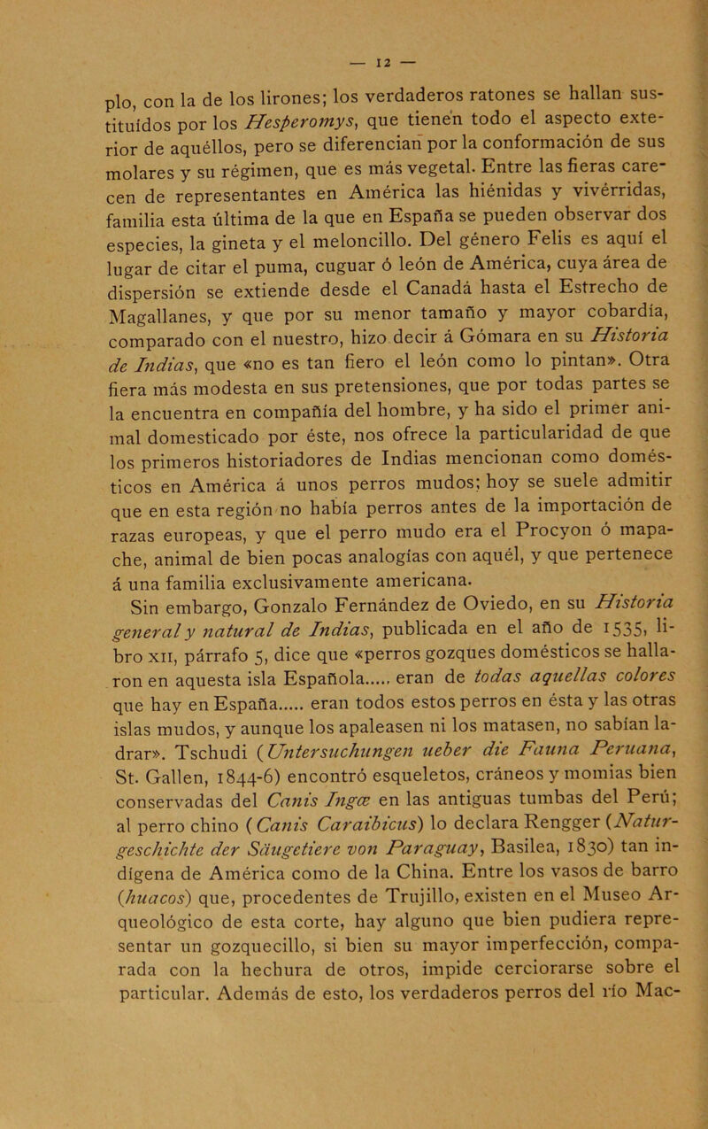 pío, con la de los lirones; los verdaderos ratones se hallan sus- tituidos por los Hesperomys, que tienen todo el aspecto exte- rior de aquéllos, pero se diferencian por la conformación de sus molares y su régimen, que es más vegetal. Entre las fieras care cen de representantes en América las hiénidas y vivérridas, familia esta última de la que en España se pueden observar dos especies, la gineta y el meloncillo. Del género Felis es aquí el lugar de citar el puma, cuguar ó león de América, cuya área de dispersión se extiende desde el Canadá hasta el Estrecho de Magallanes, y que por su menor tamaño y mayor cobardía, comparado con el nuestro, hizo decir á Gomara en su Historia de Lidias, que «no es tan fiero el león como lo pintan». Otra fiera más modesta en sus pretensiones, que por todas partes se la encuentra en compañía del hombre, y ha sido el primer ani- mal domesticado por éste, nos ofrece la particularidad de que los primeros historiadores de Indias mencionan como domés- ticos en América á unos perros mudos; hoy se suele admitir que en esta región no había perros antes de la importación de razas europeas, y que el perro mudo era el Procyon ó mapa- che, animal de bien pocas analogías con aquél, y que pertenece á una familia exclusivamente americana. Sin embargo, Gonzalo Fernández de Oviedo, en su Historia general y natural de Indias, publicada en el año de 1535, li- bro xii, párrafo 5, dice que «perros gozques domésticos se halla- ron en aquesta isla Española...., eran de todas aquellas coloies que hay en España eran todos estos perros en ésta y las otras islas mudos, y aunque los apaleasen ni los matasen, no sabían la- drar». Tschudi ( Untersuchungen ueber die Fauna Peruana, St. Gallen, 1844-6) encontró esqueletos, cráneos y momias bien conservadas del Canis Ingce en las antiguas tumbas del Perú; al perro chino (Canis Caraibicus) lo declara Rengger (Natur- geschichte der Saugetiere von Paraguay, Basilea, 1830) tan in- dígena de América como de la China. Entre los vasos de barro {huacos) que, procedentes de Trujillo, existen en el Museo Ar- queológico de esta corte, hay alguno que bien pudiera repre- sentar un gozquecillo, si bien su mayor imperfección, compa- rada con la hechura de otros, impide cerciorarse sobre el particular. Además de esto, los verdaderos perros del río Mac-