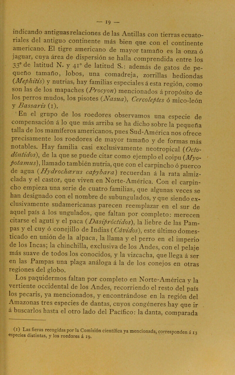 indicando antiguas relaciones de las Antillas con tierras ecuato- riales del antiguo continente más bien que con el continente americano. El tigre americano de mayor tamaño es la onza ó jaguar, cuya área de dispersión se halla comprendida entre los 33° de latitud N. y 41o de latitud S.: además de gatos de pe- queño tamaño, lobos, una comadreja, zorrillas hediondas (Mephitis) y nutrias, hay familias especiales á esta región, como son las de los mapaches {Procyon) mencionados á propósito de los perros mudos, los pisotes (Pdasua), Cercoleptes ó mico-león y Bas saris (1). En el grupo de los roedores observamos una especie de compensación á lo que más arriba se ha dicho sobre la pequeña talla de los mamíferos americanos, pues Sud-América nos ofrece precisamente los roedores de mayor tamaño y de formas más notables. Hay familia casi exclusivamente neotropical (Ocio- dóntidos), de la que se puede citar como ejemplo el coipu (Myo- potamus), llamado también nutria, que con el carpincho ó puerco de agua (.Hydrochcerus capybara) recuerdan á la rata almiz- clada y el castor, que viven en Norte-América. Con el carpin- cho empieza una serie de cuatro familias, que algunas veces se han designado con el nombre de subungulados, y que siendo ex- clusivamente sudamericanas parecen reemplazar en el sur de aquel país á los ungulados, que faltan por completo: merecen citarse el agutí y el paca (Dasipróctidos), la liebre de las Pam- pas y el cuy ó conejillo de Indias ( Cávidos), este último domes- ticado en unión de la alpaca, la llama y el perro en el imperio de los Incas; la chinchilla, exclusiva de los Andes, con el pelaje más suave de todos los conocidos, y la vizcacha, que llega á ser en las Pampas una plaga análoga á la de los conejos en otras regiones del globo. Los paquidermos faltan por completo en Norte-América y la vertiente occidental de los Andes, recorriendo el resto del país los pécaris, ya mencionados, y encontrándose en la región del Amazonas tres especies de dantas, cuyos congéneres hay que ir á buscarlos hasta el otro lado del Pacífico: la danta, comparada (1). Las fieras recogidas por la Comisión científica ya mencionada, corresponden á i? especies distintas, y los roedores á 19.