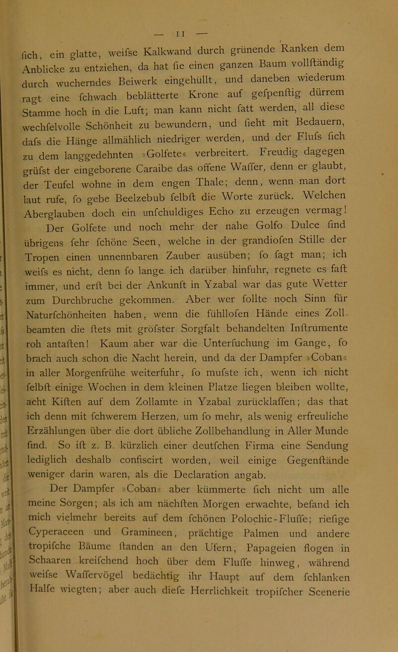 p t lieh, ein glatte, weifse Kalkwand durch grünende Ranken dem Anblicke zu entziehen, da hat fie einen ganzen Baum vollftändig durch wucherndes Beiwerk eingehüllt, und daneben wiederum ragt eine fchwach beblätterte Krone auf gefpenftig dürrem Stamme hoch in die Luft; man kann nicht fatt werden, all diese wechfelvolle Schönheit zu bewundern, und fleht mit Bedauern, dafs die Hänge allmählich niedriger werden, und der Flufs fleh zu dem langgedehnten »Golfete« verbreitert. Freudig dagegen grüfst der eingeborene Caraibe das offene Waffer, denn er glaubt, der Teufel wohne in dem engen Thale; denn, wenn man dort laut rufe, fo gebe Beelzebub felbft die Worte zurück. Welchen Aberglauben doch ein unfchuldiges Echo zu erzeugen vermag! Der Golfete und noch mehr der nahe Golfo Dulce find übrigens fehr fchöne Seen, welche in der grandiofen Stille dei Tropen einen unnennbaren Zauber ausüben; fo fagt man; ich weifs es nicht, denn fo lange ich darüber hinfuhr, regnete es faft immer, und erft bei der Ankunft in Yzabal war das gute Wetter zum Durchbruche gekommen. Aber wer follte noch Sinn für Naturfchönheiten haben, wenn die fühllofen Hände eines Zoll- beamten die ftets mit gröfster Sorgfalt behandelten Inftrumente roh antaften! Kaum aber war die Unterfuchung im Gange, fo brach auch schon die Nacht herein, und da der Dampfer »Coban« in aller Morgenfrühe weiterfuhr, fo mufste ich, wenn ich nicht felbft einige Wochen in dem kleinen Platze liegen bleiben wollte, acht Kiften auf dem Zollamte in Yzabal zurücklaffen; das that ich denn mit fchwerem Herzen, um fo mehr, als wenig erfreuliche Erzählungen über die dort übliche Zollbehandlung in Aller Munde find. So ift z. B. kürzlich einer deutfehen Firma eine Sendung lediglich deshalb confiscirt worden, weil einige Gegenftände weniger darin waren, als die Declaration an gab. Der Dampfer »Coban« aber kümmerte fleh nicht um alle meine Sorgen; als ich am nächften Morgen erwachte, befand ich mich vielmehr bereits auf dem fchönen Polochic-Fluffe; riefisfe Cyperaceen und Gramineen, prächtige Palmen und andere tropifche Bäume ftanden an den Ufern, Papageien flogen in Schaaren kreifchend hoch über dem Fluffe hinweg, während weifse Waffervögel bedächtig ihr Haupt auf dem fchlanken Hälfe wiegten; aber auch diefe Herrlichkeit tropifcher Scenerie