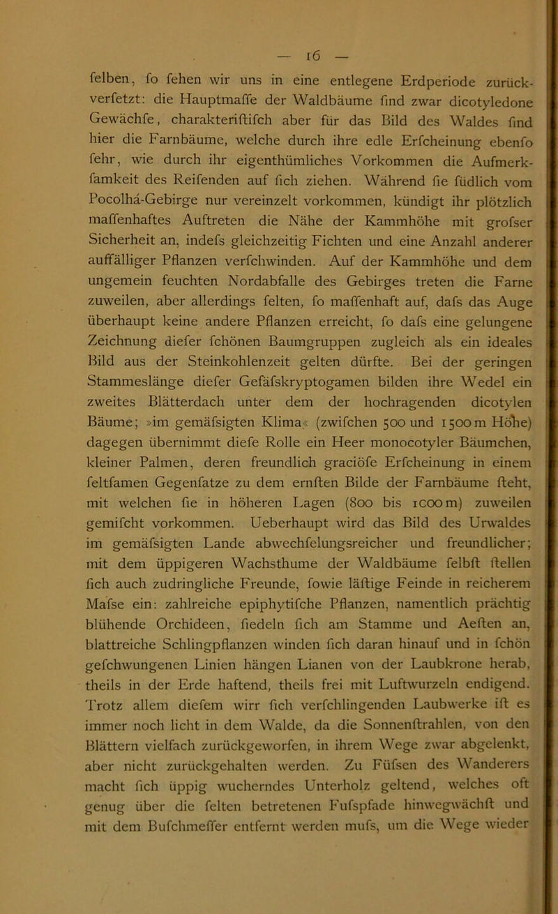 felben, fo fehen wir uns in eine entlegene Erdperiode zurück- verfetzt: die Hauptmaffe der Waldbäume find zwar dicotyledone Gewächfe, charakteriftifch aber für das Bild des Waldes find hier die Farn bäume, welche durch ihre edle Erfcheinung ebenfo fehr, wie durch ihr eigenthümliches Vorkommen die Aufmerk - famkeit des Reifenden auf fich ziehen. Während fie füdlich vom Pocolhä-Gebirge nur vereinzelt Vorkommen, kündigt ihr plötzlich maffenhaftes Auftreten die Nähe der Kammhöhe mit grofser Sicherheit an, indefs gleichzeitig Fichten und eine Anzahl anderer auffälliger Pflanzen verfchwinden. Auf der Kammhöhe und dem ungemein feuchten Nordabfalle des Gebirges treten die Farne zuweilen, aber allerdings feiten, fo maffenhaft auf, dafs das Auge überhaupt keine andere Pflanzen erreicht, fo dafs eine gelungene Zeichnung diefer fchönen Baumgruppen zugleich als ein ideales Bild aus der Steinkohlenzeit gelten dürfte. Bei der geringen Stammeslänge diefer Gefäfskryptogamen bilden ihre Wedel ein zweites Blätterdach unter dem der hochragenden dicotylen Bäume; »im gemäfsigten Klima« (zwifchen 500 und 1500m HöTie) dagegen übernimmt diefe Rolle ein Heer monocotyler Bäumchen, kleiner Palmen, deren freundlich graciöfe Erfcheinung in einem feltfamen Gegenfatze zu dem ernften Bilde der Fambäume fteht, mit welchen fie in höheren Lagen (800 bis icoom) zuweilen gemifcht Vorkommen. Ueberhaupt wird das Bild des Urwaldes im gemäfsigten Lande abwechfelungsreicher und freundlicher; mit dem üppigeren Wachsthume der Waldbäume felbft ftellen fleh auch zudringliche Freunde, fowie läftige Feinde in reicherem Mafse ein: zahlreiche epiphytifche Pflanzen, namentlich prächtig blühende Orchideen, fiedeln fich am Stamme und Aeflen an, blattreiche Schlingpflanzen winden fleh daran hinauf und in fchön gefchwungenen Linien hängen Lianen von der Laubkrone herab, theils in der Erde haftend, theils frei mit Luftwurzeln endigend. Trotz allem diefem wirr fich verfchlingenden Laubwerke ift es immer noch licht in dem Walde, da die Sonnenftrahlen, von den Blättern vielfach zurückgeworfen, in ihrem Wege zwar abgelenkt, aber nicht zurückgehalten werden. Zu Füfsen des Wanderers macht fleh üppig wucherndes Unterholz geltend, welches oft genug über die feiten betretenen Fufspfade hinwegwächft und mit dem Bufchmeffer entfernt werden mufs, um die Wege wieder