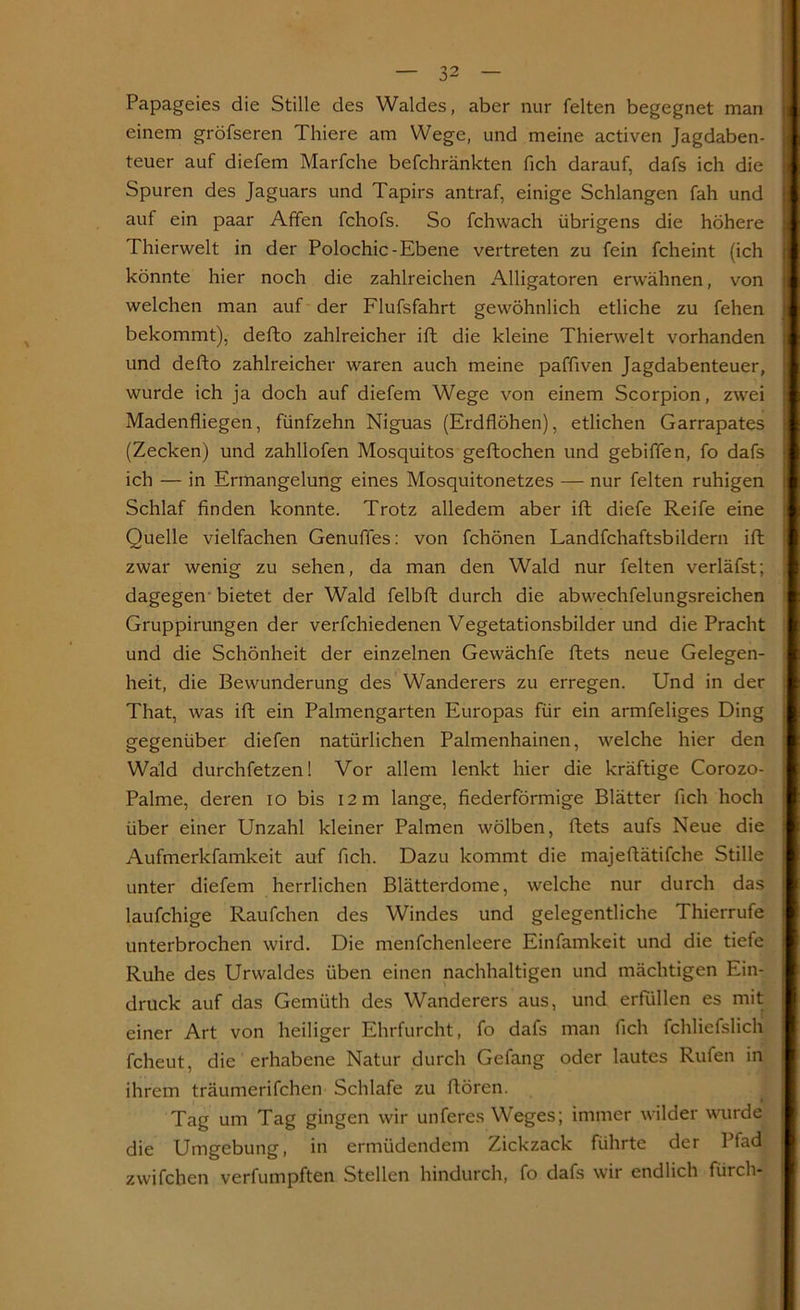 Papageies die Stille des Waldes, aber nur feiten begegnet man einem gröfseren Thiere am Wege, und meine activen Jagdaben- teuer auf diefem Marfche befchränkten fich darauf, dafs ich die Spuren des Jaguars und Tapirs antraf, einige Schlangen fah und auf ein paar Affen fchofs. So fchwach übrigens die höhere Thierwelt in der Polochic-Ebene vertreten zu fein fcheint (ich könnte hier noch die zahlreichen Alligatoren erwähnen, von welchen man auf der Flufsfahrt gewöhnlich etliche zu fehen bekommt), defto zahlreicher ift die kleine Thierwelt vorhanden und defto zahlreicher waren auch meine paffiven Jagdabenteuer, wurde ich ja doch auf diefem Wege von einem Scorpion, zwei Madenfliegen, fünfzehn Niguas (Erdflöhen), etlichen Garrapates (Zecken) und zahllofen Mosquitos geftochen und gebiffen, fo dafs ich — in Ermangelung eines Mosquitonetzes — nur feiten ruhigen Schlaf finden konnte. Trotz alledem aber ift diefe Reife eine Quelle vielfachen Genuffes: von fchönen Landfchaftsbildern ift zwar wenig zu sehen, da man den Wald nur feiten verläfst; dagegen bietet der Wald felbft durch die abwechfelungsreichen Gruppirungen der verfchiedenen Vegetationsbilder und die Pracht und die Schönheit der einzelnen Gewächfe ftets neue Gelegen- heit, die Bewunderung des Wanderers zu erregen. Und in der That, was ift ein Palmengarten Europas für ein armfeliges Ding gegenüber diefen natürlichen Palmenhainen, welche hier den Wald durchfetzen! Vor allem lenkt hier die kräftige Corozo- Palme, deren io bis 12 m lange, fiederförmige Blätter fleh hoch über einer Unzahl kleiner Palmen wölben, ftets aufs Neue die Aufmerkfamkeit auf fleh. Dazu kommt die majeftätifche Stille unter diefem herrlichen Blätterdome, welche nur durch das laufchige Raufchen des Windes und gelegentliche Thierrufe unterbrochen wird. Die menfchenleere Einfamkeit und die tiefe Ruhe des Urwaldes üben einen nachhaltigen und mächtigen Ein- druck auf das Gemüth des Wanderers aus, und erfüllen es mit einer Art von heiliger Ehrfurcht, fo dafs man fleh fchliefslich fcheut, die erhabene Natur durch Gefang oder lautes Rufen in ihrem träumerifchen Schlafe zu ftören. Tag um Tag gingen wir unferes Weges; immer wilder wurde die Umgebung, in ermüdendem Zickzack führte der Pfad zwifchen verfumpften Stellen hindurch, fo dafs wir endlich furch-