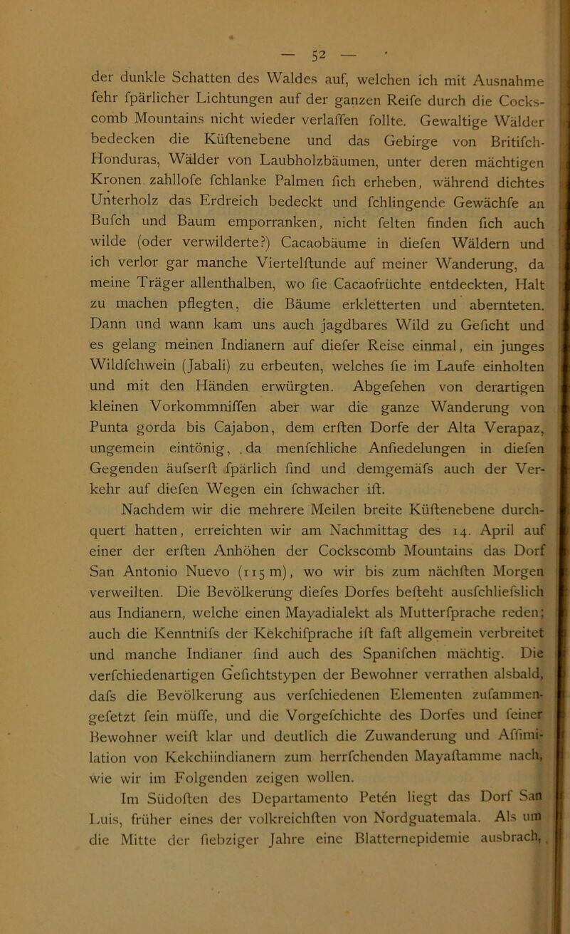 der dunkle Schatten des Waldes auf, welchen ich mit Ausnahme fehl- fpärlicher Lichtungen auf der ganzen Reife durch die Cocks- comb Mountains nicht wieder verlaffen follte. Gewaltige Wälder bedecken die Küftenebene und das Gebirge von Britifch- Honduras, Wälder von Laubholzbäumen, unter deren mächtigen Kronen zahllofe fchlanke Palmen fich erheben, während dichtes Unterholz das Erdreich bedeckt und fchlingende Gewächfe an Bufch und Baum emporranken, nicht feiten finden fich auch wilde (oder verwilderte?) Cacaobäume in diefen Wäldern und ich verlor gar manche Viertelftunde auf meiner Wanderung, da meine Träger allenthalben, wo fie Cacaofrüchte entdeckten, Halt zu machen pflegten, die Bäume erkletterten und abernteten. Dann und wann kam uns auch jagdbares Wild zu Gefleht und es gelang meinen Indianern auf diefer Reise einmal, ein junges Wildfehwein (Jabali) zu erbeuten, welches fie im Laufe einholten und mit den Händen erwürgten. Abgefehen von derartigen kleinen Vorkommniffen aber war die ganze Wanderung von Punta gorda bis Cajabon, dem erften Dorfe der Alta Verapaz, ungemein eintönig, da menfchliche Anfiedelungen in diefen Gegenden äufserft fpärlich find und demgemäfs auch der Ver- kehr auf diefen Wegen ein fchwacher ift. Nachdem wir die mehrere Meilen breite Küftenebene durch- quert hatten, erreichten wir am Nachmittag des 14. April auf einer der erften Anhöhen der Cockscomb Mountains das Dorf San Antonio Nuevo (115m), wo wir bis zum nächften Morgen verweilten. Die Bevölkerung diefes Dorfes befteht ausfchliefslich aus Indianern, welche einen Mayadialekt als Mutterfprache reden; auch die Kenntnifs der Kekchifprache ift faft allgemein verbreitet und manche Indianer find auch des Spanifchen mächtig. Die verfchiedenartigen Gefichtstypen der Bewohner verrathen alsbald, dafs die Bevölkerung aus verfchiedenen Elementen zufammen- gefetzt fein mtiffe, und die Vorgefchichte des Dorfes und feiner Bewohner weift klar und deutlich die Zuwanderung und Affimi- lation von Kekchiindianern zum herrfchenden Mayaftamnie nach, wie wir im Folgenden zeigen wollen. Im Stidoften des Departamento Peten liegt das Dort San Luis, früher eines der volkreichften von Nordguatemala. Als um die Mitte der fiebziger Jahre eine Blatternepidemie ausbrach,, ;