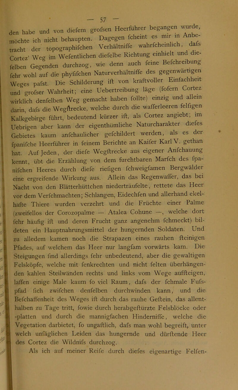 den habe und von diefem grofsen Heerführer begangen wurde, möchte ich nicht behaupten. Dagegen fchemt es mir in ,rächt der topographifchen Verhältniffe wahrfchem ich dafs Cortez’ Wea im Wefentlichen diefelbe Richtung einhielt und die leiben Gegenden durchzog, wie denn auch feine Betreibung fehr wohl auf die phyfifchen Naturverhältniffe des gegenwärtigen Weges pafst. Die Schilderung ift von kraftvoller Einfachheit und grofser Wahrheit; eine Uebertreibung läge (fofern Cortez wirklich denfelben Weg gemacht haben follte) einzig und allem darin, dafs die Wegftrecke, welche durch die wafferleeren felfigen Kalkgebirge führt, bedeutend kürzer ift, als Cortez angiebt; im Uebrigen aber kann der eigenthümliche Naturcharakter diefes Gebietes kaum anfchaulicher gefchildert werden, als es dei fpanifche Heerführer in feinem Berichte an Kaifer Karl V. gethan hat. Auf Jeden, der diefe Wegftrecke aus eigener Anfchauung kennt, übt die Erzählung von dem furchtbaren Marfch des fpa- nifchen Heeres durch diefe riefigen fchweigfamen Bergwälder eine ergreifende Wirkung aus. Allein das Regenwaffer, das bei Nacht von den Blätterhüttchen niederträufelte, rettete das Heer vor dem Verfchmachten; Schlangen, Eidechfen und allerhand ekel- hafte Thiere wurden verzehrt und die Früchte einer Palme (zweifellos der Corozopalme — Atalea Cohune —, welche dort fehr häufig ift und deren Frucht ganz angenehm fchmeckt) bil- deten ein Hauptnahrungsmittel der hungernden Soldaten. Und zu alledem kamen noch die Strapazen eines rauhen Reinigen Pfades, auf welchem das Heer nur langfam vorwärts kam. Die Steigungen find allerdings fehr unbedeutend, aber die gewaltigen Felsköpfe, welche mit fenkrechten und nicht feiten überhängen- den kahlen Steilwänden rechts und links vom Wege auffteigen, laffen einige Male kaum fo viel Raum, dafs der fchmale Fufs- pfad fich zwifchen denfelben durchwinden kann, und die Befchaffenheit des Weges ift durch das rauhe Geftein, das allent- halben zu Tage tritt, fowie durch herabgeftiirzte Felsblöcke oder -platten und durch die mannigfachen Hinderniffe, welche die Vegetation darbietet, fo ungaftlich, dafs man wohl begreift, unter welch unfäglichen Leiden das hungernde und diirftende Heer des Cortez die Wildnifs durchzog. Als ich auf meiner Reife durch diefes eigenartige Felfen-