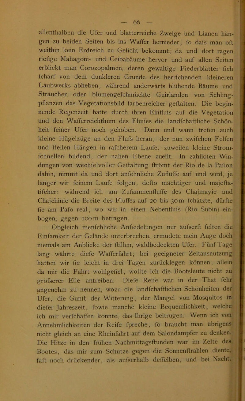 allenthalben die Ufer und blätterreiche Zweige und Lianen hän- gen zu beiden Seiten bis ins Waffer hernieder, fo dafs man oft weithin kein Erdreich zu Geficht bekommt; da und dort ragen rieiige Mahagoni- und Ceibabäume hervor und auf allen Seiten erblickt man Corozopalmen, deren gewaltige Fiederblätter fich fcharf von dem dunkleren Grunde des herrfchenden kleineren Laubwerks abheben, während anderwärts blühende Bäume und Sträucher. oder blumengefchmückte Guirlanden von Schling- pflanzen das Vegetationsbild farbenreicher geftalten. Die begin- nende Regenzeit hatte durch ihren Einflufs auf die Vegetation und den Wafferreichthum des Fluffes die landfchaftliche Schön- heit feiner Ufer noch gehoben. Dann und wann treten auch kleine Hügelzüge an den Flufs heran, der nun zwifchen Felfen und Feilen Hängen in rafcherem Laufe, zuweilen kleine Strom- fchnellen bildend, der nahen Ebene zueilt. In zahllofen Win- dungen von wechfelvoller Geltaltung ftrömt der Rio de la Palion dahin, nimmt da und dort anfehnliche Zuflüffe auf und wird, je länger wir feinem Laufe folgen, delto mächtiger und majeltä- tifcher: während ich am Zufammenfluffe des Chajmayic und Chajchinic die Breite des Fluffes auf 20 bis 30 m fchätzte, dürfte fle am Pafo real, wo wir in einen Nebenflufs (Rio Subin) ein- bogen, gegen 100 m betragen. Obgleich menfchliche Anfiedelungen nur äufserlt feiten die Einfamkeit der Gelände unterbrechen, ermüdete mein Auge doch niemals am Anblicke der Rillen, waldbedeckten Ufer. Fünf Tage lang währte diefe Wafferfahrt; bei geeigneter Zeitausnutzung hätten wir fie leicht in drei Tagen zurücklegen können, allein da mir die Fahrt wohlgefiel, wollte ich die Bootsleute nicht zu gröfserer File antreiben. Diefe Reife war in der That fehr angenehm zu nennen, wozu die landschaftlichen Schönheiten der Ufer, die Gunft der Witterung, der Mangel von Mosquitos in diefer Jahreszeit, fowie manche kleine Bequemlichkeit, welche ich mir verfchaffen konnte, das Ihrige beitrugen. Wenn ich von Annehmlichkeiten der Reife fpreche, fo braucht man übrigens nicht gleich an eine Rheinfahrt auf dem Salondampfer zu denken. Die Hitze in den frühen Nachmittagsftunden war im Zelte des Bootes, das mir zum Schutze gegen die Sonnenftrahlen diente, faft noch drückender, als aufserhalb defleiben, und bei Nacht,