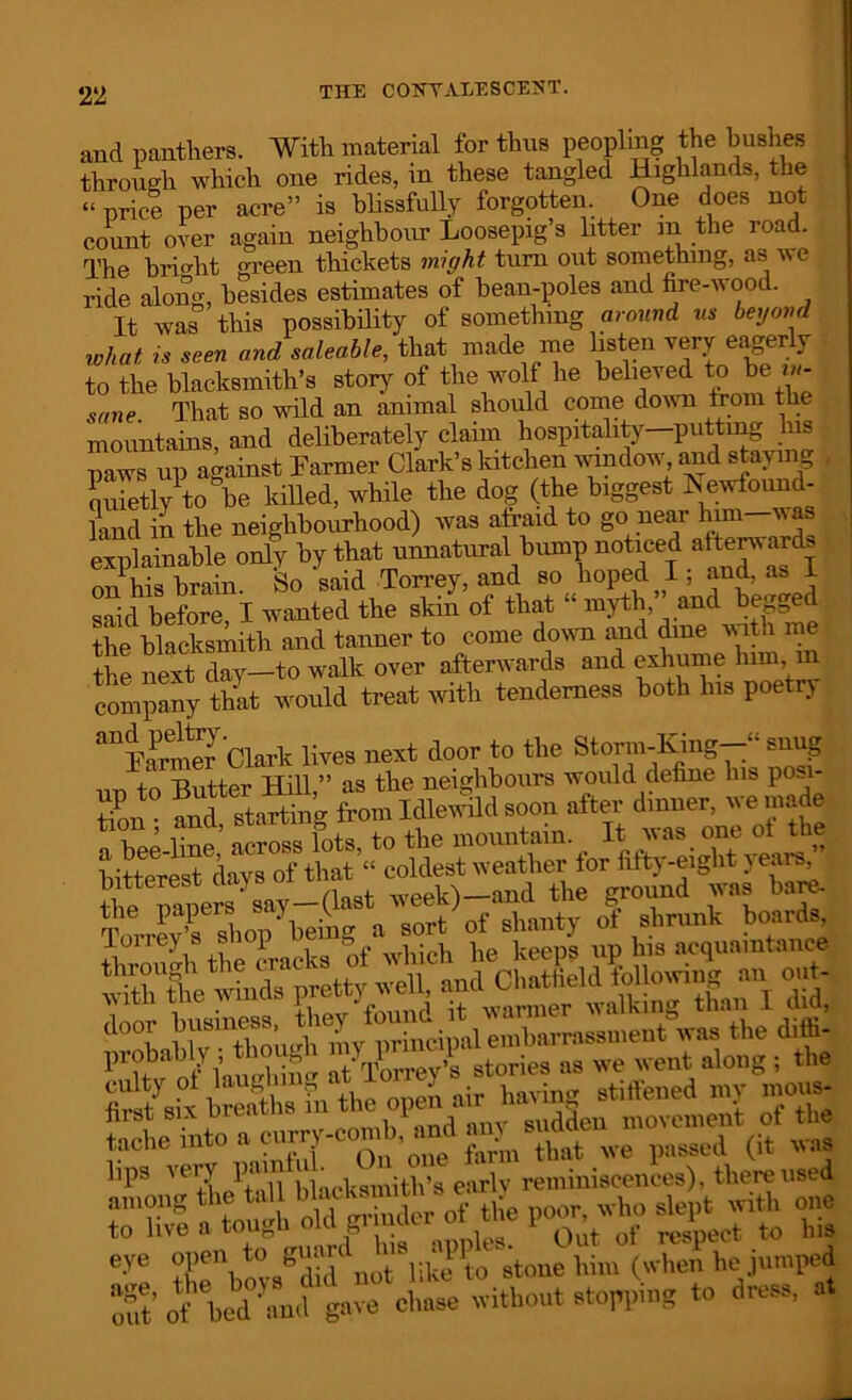 and panthers. With material for thus peopling the bushes through which one rides, in these tangled Highlands, the “ price per acre” is blissfully forgotten. One does not count over again neighbour Loosepig’s litter m the road. The bright green thickets might turn out something, as we ride along, besides estimates of bean-poles and fire-wood. It was this possibility of something around ns beyond what, is seen and saleable, that made me listen very eager y to the blacksmith’s story of the wolf lie believed to be uj- sane That so wild an animal should come down from the mountains, and deliberately claim hospitality—putting his paws up against Farmer Clark’s kitchen window and staynig , Sly to be killed, while the dog (the biggest Newfound- land in the neighbourhood) was afraid to go near him—was explainable only by that unnatural bump noticed afterwards onhis brain. So said Torrey, and so hoped I; and, as I said before I wanted the skin of that “ myth,” and begged the blacksmith and tanner to come down and dine with me the next day—to walk over afterwards and exhume him, in company that would treat with tenderness both Ins poe ry “Ke? Clark lives next door to the Stemming-” snug uu to Butter Hill,” as the neighbours would define Ins posi- tion and starting from Idlewild soon after dinner, we made a bee-line across lots, to the mountain It was one ot the bitterest days of that “ coldest weather tor fifty -eight i ears, mners}say—(last week)—and the ground was bare- ^ao/heig^^rt ^shanty of Site windsapretty veil, and Chattield following an out- lipS '0 the^tall blacksmith’s early reminiscences), there used S-S5 a\^“adf inder^ £ age, r\*sgau not |iUo » hone Hn±hen^jn^ S’ of bed and'gave chase without stopping to dress,