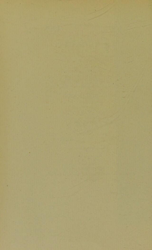 digitised image 2