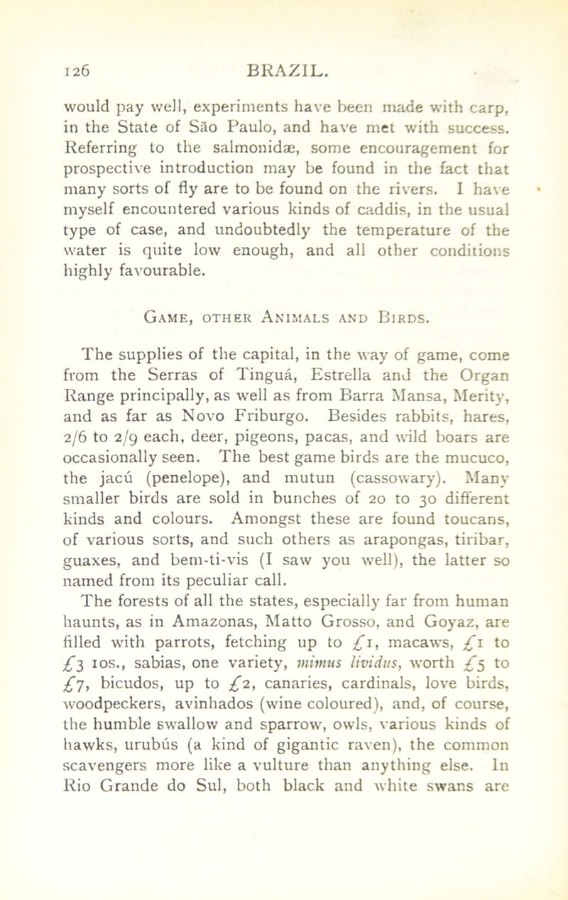 would pay well, experiments have been made with carp, in the State of Sao Paulo, and have met with success. Referring to the salmonidae, some encouragement for prospective introduction may be found in the fact that many sorts of fly are to be found on the rivers. I have myself encountered various kinds of caddis, in the usual type of case, and undoubtedly the temperature of the water is quite low enough, and all other conditions highly favourable. Game, other A.nimals and Birds. The supplies of the capital, in the way of game, come from the Serras of Tingua, Estrella and the Organ Range principally, as well as from Barra Mansa, Merit}', and as far as Novo Friburgo. Besides rabbits, hares, 2/6 to 2/9 each, deer, pigeons, pacas, and wild boars are occasionally seen. The best game birds are the mucuco, the jacu (penelope), and mutun (cassowary). Many smaller birds are sold in bunches of 20 to 30 different kinds and colours. Amongst these are found toucans, of various sorts, and such others as arapongas, tiribar, guaxes, and bem-ti-vis (I saw you well), the latter so named from its peculiar call. The forests of all the states, especially far from human haunts, as in Amazonas, Matto Grosso, and Goyaz, are filled with parrots, fetching up to £\, macaws, £\ to ;^3 los., sabias, one variety, mimus lividus, worth £^ to ^7, bicudos, up to £2, canaries, cardinals, love birds, woodpeckers, avinhados (wine coloured), and, of course, the humble swallow and sparrow, owls, various kinds of hawks, urubus (a kind of gigantic raven), the common scavengers more like a vulture than anything else. In Rio Grande do Sul, both black and white swans are