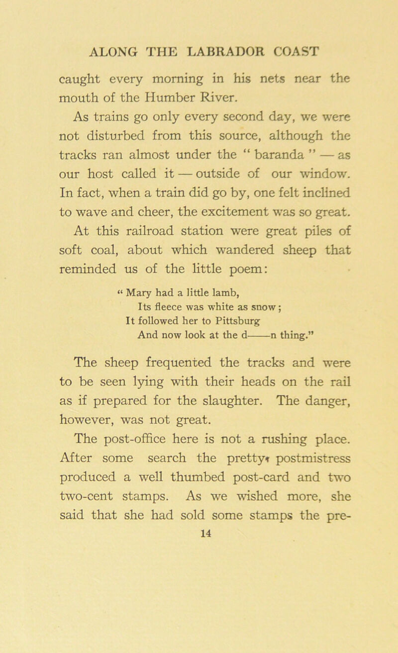 caught every morning in his nets near the mouth of the Humber River. As trains go only every second day, we were not disturbed from this source, although the tracks ran almost under the “ baranda ” —as our host called it — outside of our window. In fact, when a train did go by, one felt inclined to wave and cheer, the excitement was so great. At this railroad station were great piles of soft coal, about which wandered sheep that reminded us of the little poem: “ Mary had a little lamb, Its fleece was white as snow; It followed her to Pittsburg And now look at the d n thing.” The sheep frequented the tracks and were to be seen lying with their heads on the rail as if prepared for the slaughter. The danger, however, was not great. The post-office here is not a rushing place. After some search the prettyt postmistress produced a well thumbed post-card and two two-cent stamps. As we wished more, she said that she had sold some stamps the pre-