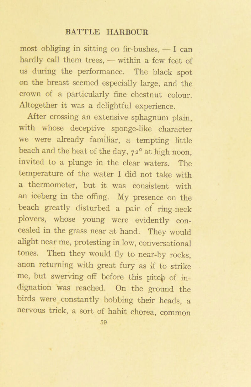 most obliging in sitting on fir-bushes, — I can hardly call them trees, — wthin a few feet of us during the perfoi-mance. The black spot on the breast seemed especially large, and the crown of a particularly fine chestnut colour. Altogether it was a delightful experience. After crossing an extensive sphagnum plain, with whose deceptive sponge-like character we were already familiar, a tempting little beach and the heat of the day, 72° at high noon, invited to a plunge in the clear waters. The temperature of the water I did not take with a thermometer, but it was consistent with an iceberg in the offing. My presence on the beach greatly disturbed a pair of ring-neck plovers, whose yoimg were evidently con- cealed in the grass near at hand. They would alight near me, protesting in low, conversational tones. Then they would fly to near-by rocks, anon returning with great fury as if to strike me, but swerving off before this pitc^ of in- dignation was reached. On the ground the birds were constantly bobbing their heads, a nervous trick, a sort of habit chorea, common