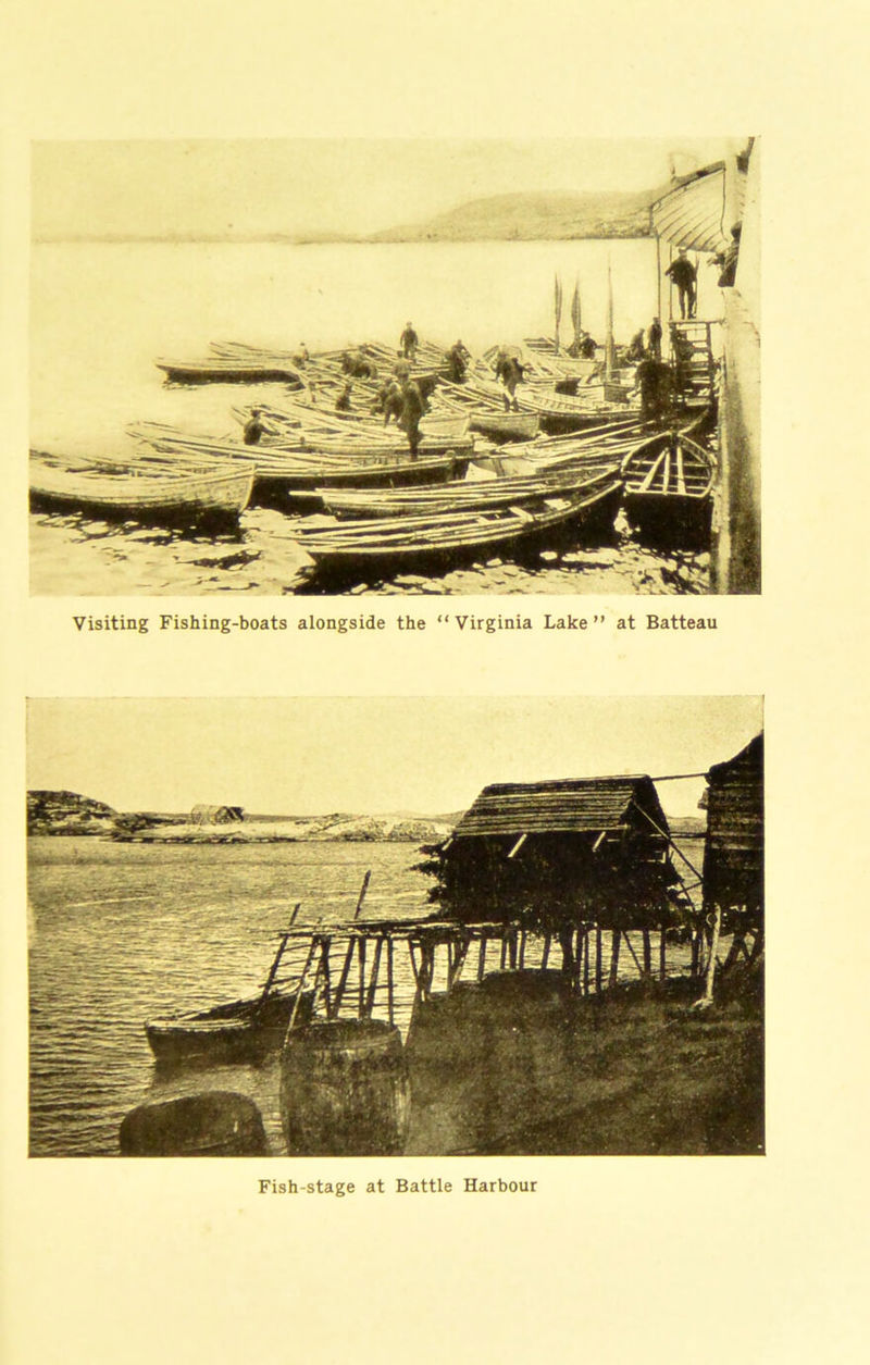 Visiting Fishing-boats alongside the “Virginia Lake” at Batteau Fish-stage at Battle Harbour