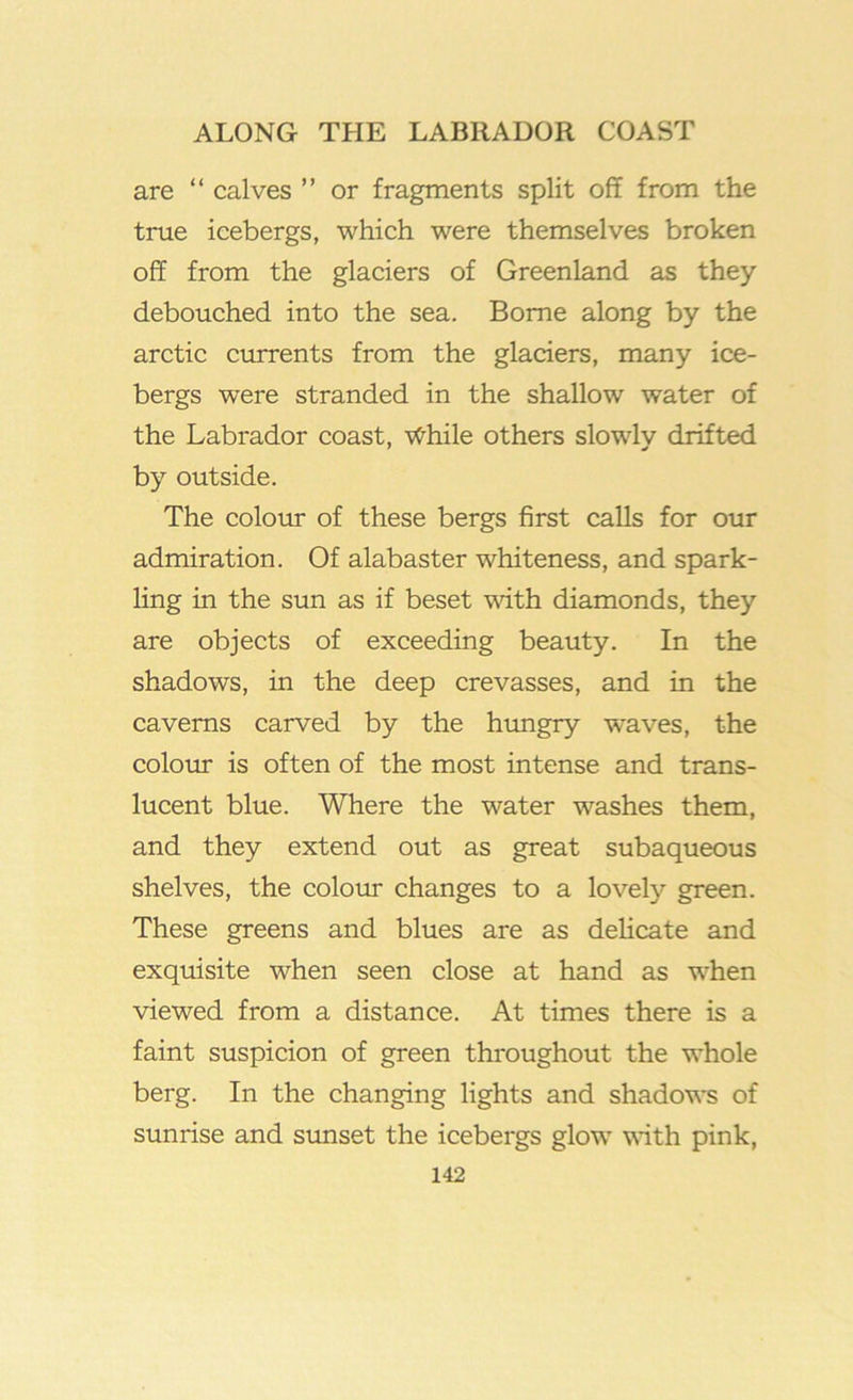 are “ calves ” or fragments split off from the true icebergs, which were themselves broken off from the glaciers of Greenland as they debouched into the sea. Borne along by the arctic currents from the glaciers, many ice- bergs were stranded in the shallow water of the Labrador coast, ^yhile others slowlv drifted by outside. The colour of these bergs first calls for our admiration. Of alabaster whiteness, and spark- ling in the sun as if beset vdth diamonds, they are objects of exceeding beauty. In the shadows, in the deep crevasses, and in the caverns carved by the himgry waves, the colour is often of the most intense and trans- lucent blue. Where the water washes them, and they extend out as great subaqueous shelves, the colour changes to a lovely green. These greens and blues are as delicate and exquisite when seen close at hand as when viewed from a distance. At times there is a faint suspicion of green throughout the whole berg. In the changing lights and shadows of sunrise and sunset the icebergs glow vsnth pink,