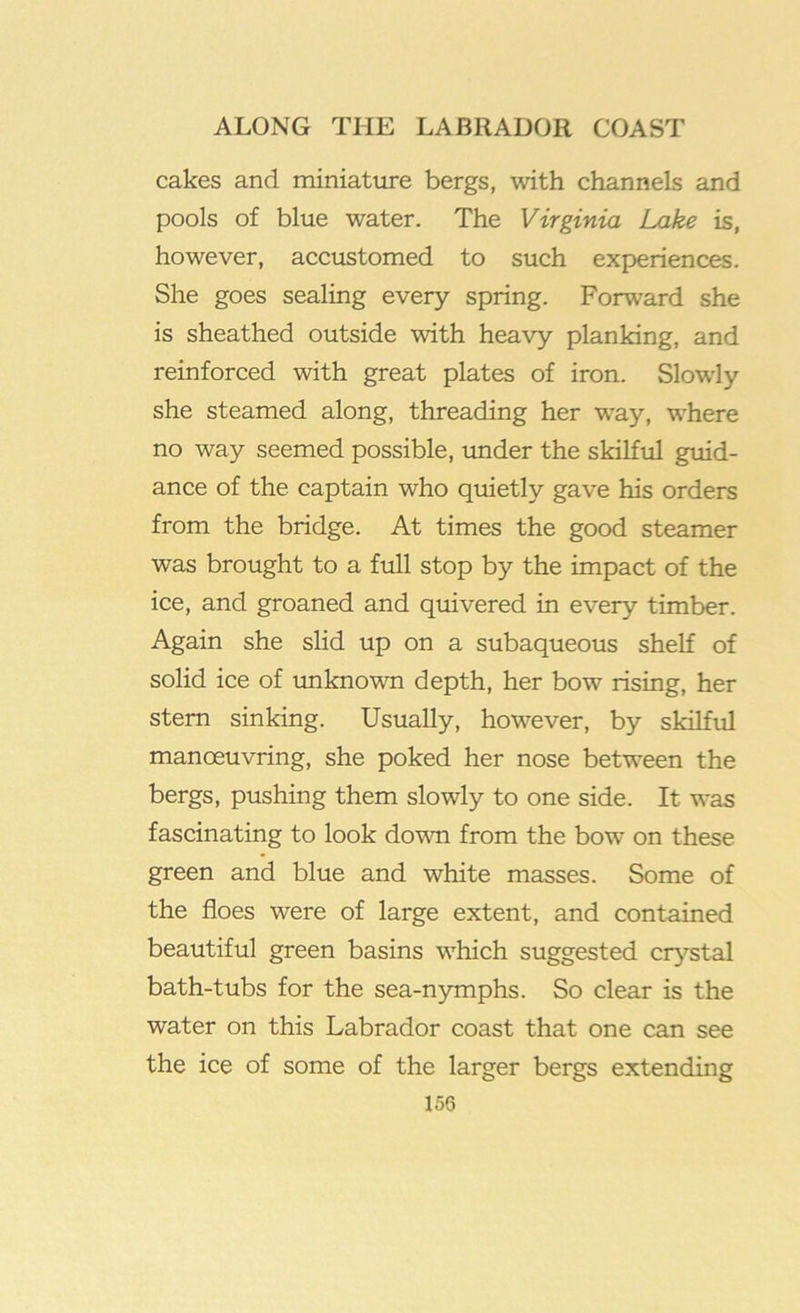 cakes and miniature bergs, with channels and pools of blue water. The Virginia Lake is, however, accustomed to such experiences. She goes sealing every spring. Forward she is sheathed outside with heavy planking, and reinforced with great plates of iron. Slowly she steamed along, threading her way, where no way seemed possible, imder the skilful guid- ance of the captain who quietly gave his orders from the bridge. At times the good steamer was brought to a full stop by the impact of the ice, and groaned and quivered in every timber. Again she slid up on a subaqueous shelf of solid ice of unknown depth, her bow rising, her stern sinking. Usually, however, by skilful manoeuvring, she poked her nose between the bergs, pushing them slowly to one side. It was fascinating to look down from the bow on these green and blue and white masses. Some of the floes were of large extent, and contained beautiful green basins which suggested cr^^stal bath-tubs for the sea-nymphs. So clear is the water on this Labrador coast that one can see the ice of some of the larger bergs extending