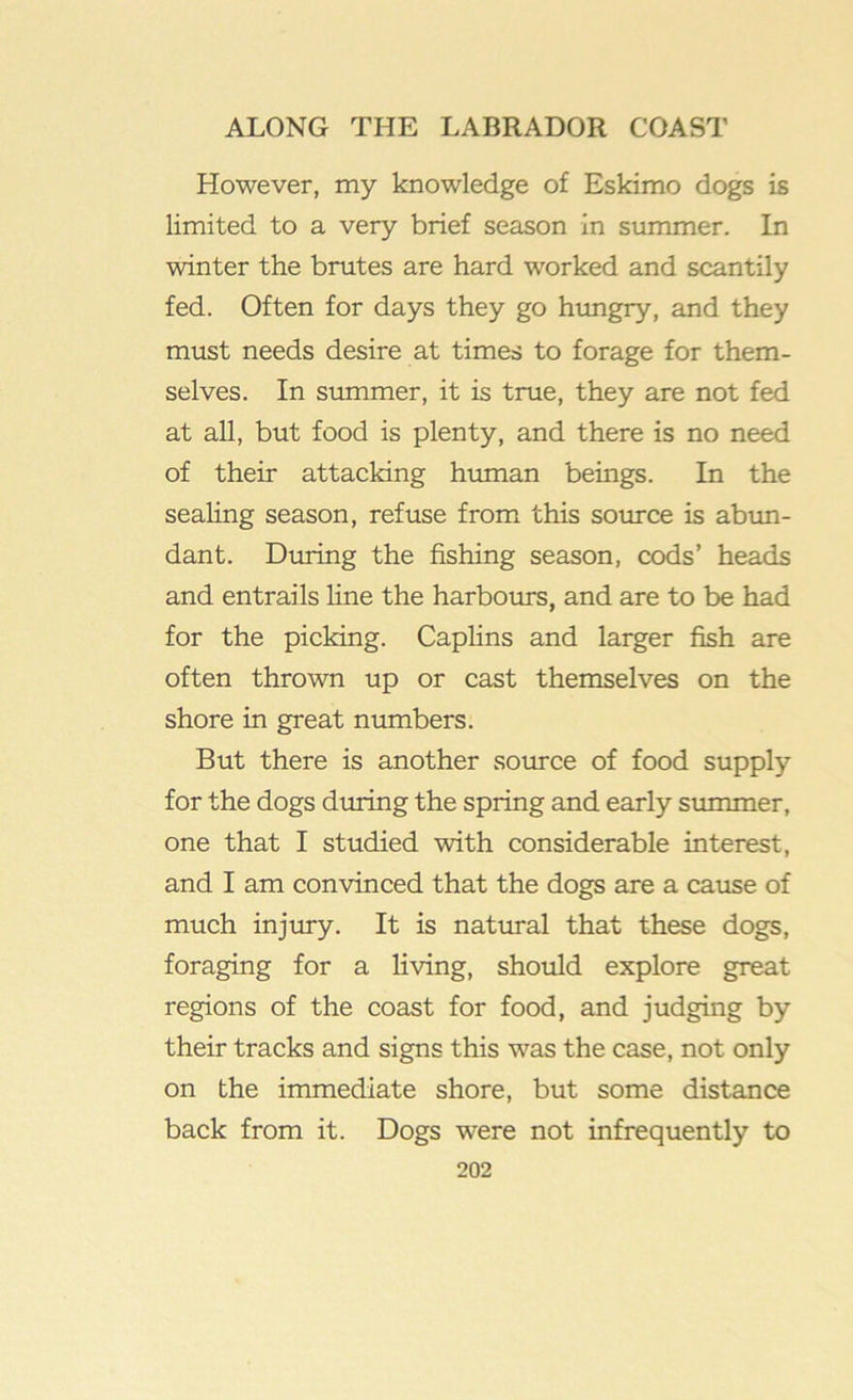 However, my knowledge of Eskimo dogs is limited to a very brief season in summer. In winter the brutes are hard worked and scantily fed. Often for days they go himgry, and they must needs desire at times to forage for them- selves. In summer, it is true, they are not fed at all, but food is plenty, and there is no need of their attacking human beings. In the sealing season, refuse from this source is abun- dant. During the fishing season, cods’ heads and entrails line the harbours, and are to be had for the picking. Caphns and larger fish are often thrown up or cast themselves on the shore in great numbers. But there is another source of food supply for the dogs during the spring and early summer, one that I studied with considerable interest, and I am convinced that the dogs are a cause of much injury. It is natural that these dogs, foraging for a living, should explore great regions of the coast for food, and judging by their tracks and signs this was the case, not only on the immediate shore, but some distance back from it. Dogs were not infrequently to