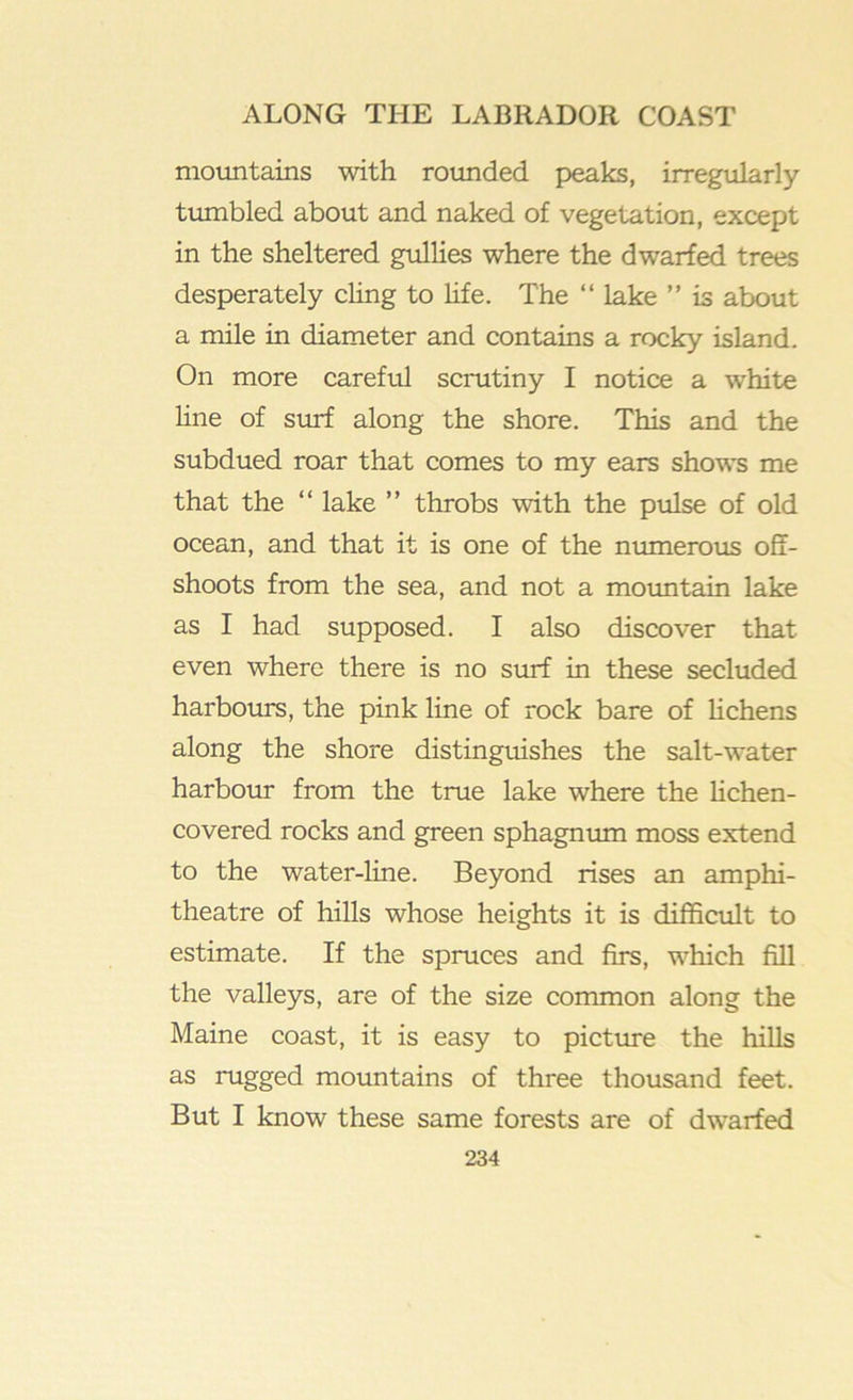 mountains with roimded peaks, irregularly- tumbled about and naked of vegetation, except in the sheltered gullies where the dwarfed trees desperately chng to Hfe. The “ lake ” is about a mile in diameter and contains a rocky island. On more careful scrutiny I notice a white hne of smf along the shore. This and the subdued roar that comes to my ears shows me that the “ lake ” throbs with the pulse of old ocean, and that it is one of the numerous off- shoots from the sea, and not a mountain lake as I had supposed. I also discover that even where there is no surf in these secluded harbours, the pink line of rock bare of hchens along the shore distinguishes the salt-water harbour from the true lake where the Hchen- covered rocks and green sphagniim moss extend to the water-line. Beyond rises an amphi- theatre of hills whose heights it is difficult to estimate. If the spruces and firs, which fill the valleys, are of the size common along the Maine coast, it is easy to picture the hills as rugged mountains of three thousand feet. But I know these same forests are of dwarfed