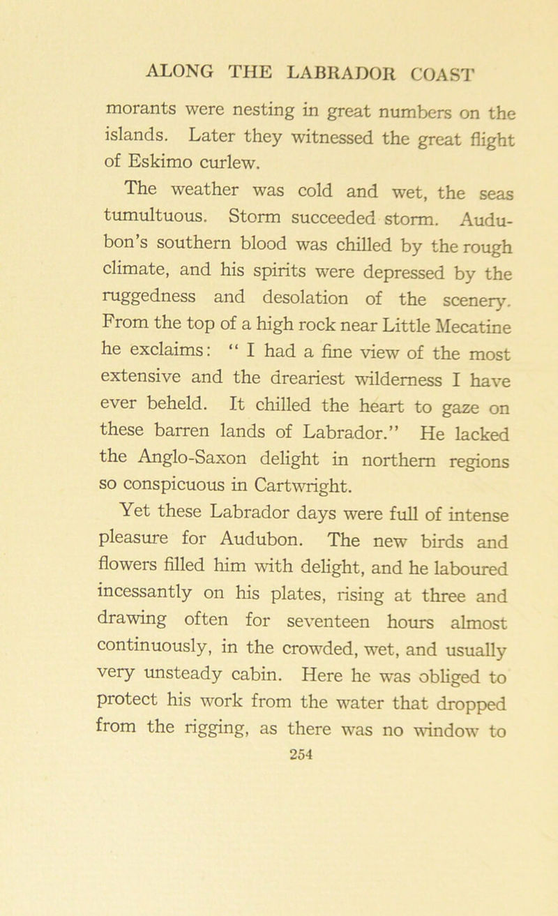 morants were nesting in great numbers on the islands. Later they witnessed the great flight of Eskimo curlew. The weather was cold and wet, the seas tumultuous. Storm succeeded storm. Audu- bon’s southern blood was chilled by the rough climate, and his spirits were depressed by the ruggedness and desolation of the scenery. From the top of a high rock near Little Mecatine he exclaims: “ I had a fine view of the most extensive and the dreariest wilderness I have ever beheld. It chilled the heart to gaze on these barren lands of Labrador.” He lacked the Anglo-Saxon delight in northern regions so conspicuous in Cartwright. Yet these Labrador days were full of intense pleasure for Audubon. The new birds and flowers filled him with delight, and he laboured incessantly on his plates, rising at three and drawing often for seventeen hoirrs almost continuously, in the crowded, wet, and usually very unsteady cabin. Here he was obliged to protect his work from the w'^ater that dropp>ed from the rigging, as there was no window to