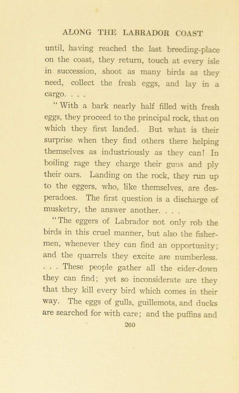 until, having reached the last breeding-place on the coast, they return, touch at every isle in succession, shoot as many birds as they need, collect the fresh eggs, and lay in a cargo. . . . “ With a bark nearly half filled with fresh eggs, they proceed to the principal rock, that on which they first landed. But what is their surprise when they find others there helping themselves as industriously as they can! In boiling rage they charge their guns and ply their oars. Landing on the rock, they run up to the eggers, who, like themselves, are des- peradoes. The first question is a discharge of musketry, the answer another. . . “The eggers of Labrador not only rob the birds in this cruel manner, but also the fisher- men, whenever they can find an opportimity; and the quarrels they excite are munberless. . . . These people gather all the eider-dowm they can find; yet so inconsiderate are they that they kill every bird which comes in their way. The eggs of gulls, guillemots, and ducks are searched for with care; and the puffins and