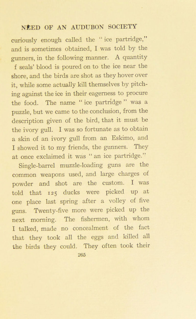 curiously enough called the “ ice partridge,” and is sometimes obtained, I was told by the gimners, in the following manner. A quantity f seals’ blood is poured on to the ice near the shore, and the birds are shot as they hover over it, while some actually kill themselves by pitch- ing against the ice in their eagerness to procure the food. The name ” ice partridge ” was a puzzle, but we came to the conclusion, from the description given of the bird, that it must be the ivory gull. I was so fortunate as to obtain a skin of an ivory gull from an Eskimo, and I showed it to my friends, the gunners. They at once exclaimed it was “ an ice partridge.” Single-barrel muzzle-loading gims are the common weapons used, and large charges of powder and shot are the custom. I was told that 125 ducks were picked up at one place last spring after a volley of five guns. Twenty-five more were picked up the next morning. The fishermen, with whom I talked, made no concealment of the fact that they took all the eggs and killed all the birds they could. They often took their