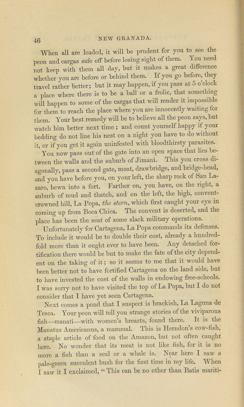 When all are loaded, it will he prudent for you to see the peon and cargas safe off before losing sight of them. You need not keep with them all day, but it makes a great difference whether you are before or behind them. If you go before, they travel rather better; but it may happen, if you pass at 5 o’clock a place where there is to be a ball or a frolic, that something will happen to some of the cargas that will render it impossible for them to reach the place where you are innocently waiting lor them. Your best remedy will be to believe all the peon says, but watch him better next time ; and count yourself happy if your bedding do not line his nest on a night you have to do without it, or if you get it again uninfested with bloodthirsty parasites. You now pass out of the gate into an open space that lies be- tween the walls and the suburb of Jimani. This you cross di- agonally, pass a second gate, moat, drawbridge, and bridge-head, and you have before you, on your left, the sharp rock of San La- zaro, hewn into a fort. Farther on, you have, on the right, a suburb of mud and thateh, and on the left, the high, convent- crowned hill. La Popa, the stem, which first caught your eye in coming up from Boca Chica. The convent is deserted, and the place has been the seat of some slack military operations. Unfortunately for Cartagena, La Popa commands its defenses. To include it would be to double their cost, already a hundred- fold more than it ought ever to have been. Any detached for- tification there would be but to make the fate of the city depend- ent on the taking of it; so it seems to me that it would have been better not to have fortified Cartagena on the land side, but to have invested the cost of the walls in endowing fi-ee-schools. I was sorry not to have visited the top of La Popa, but I do not consider that I have yet seen Cartagena. Next comes a pond that I suspect is brackish. La Laguna de Tesca. Your peon will tell you strange stories of the vmparous fish—manati—with women’s breasts, found there. It is the Manatus Americanus, a mammal. This is Herndon s cow-fish, a staple article of food on the Amazon, but not often caught here. No wonder that its meat is not like fish, for it is no more a fish than a seal or a whale is. Near here I saw a pale-green succulent bush for the first time in my life. When I saw it I exclaimed, “ This can be no other than Batis mariti-