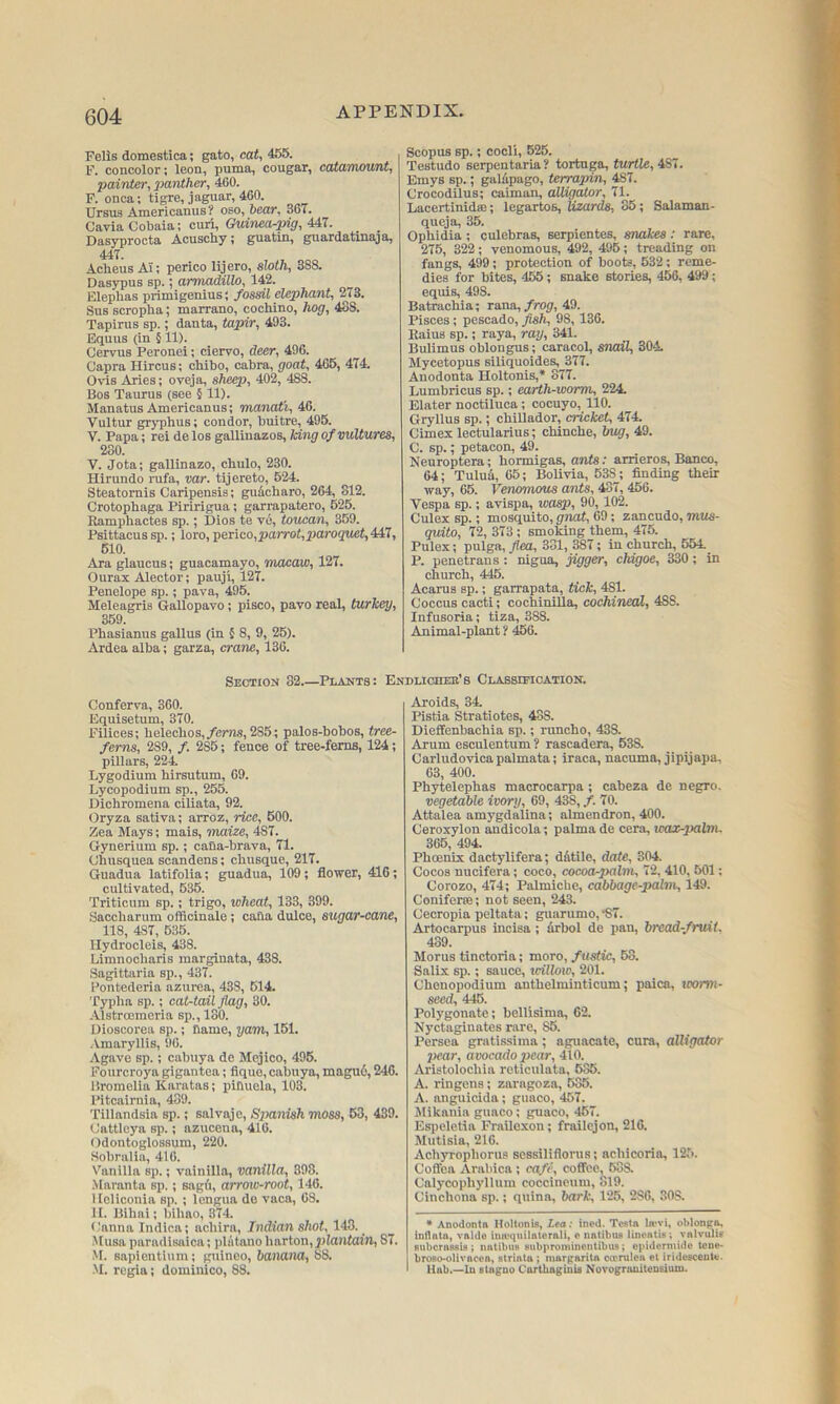 Fells domestica; gate, cat, 455. F. concolor; leou, puma, cougar, catamount, painter, x>anther, 460. F. onca; tigre, jaguar, 460. Ursus Americanus? oso, heat, 367. Cavia Cobaia; curi, GMlnco-pi£f, 447. _ _ Dasyprocta Acuschy; guatin, guardatluaja, 447. Acheus Ai; perico lijero, sloth, 388. Dasypus sp.; armadillo, 142. Eleplias prlmigenius; fossil elephant, 273. Sus scropha; marrano, cochino, hog, 438. Tapirus sp.; danta, tapir, 493. Equus (in § 11). Cervus Peronei; ciervo, deer, 496. Capra Hircus; chibo, cabra, goat, 466, 474. Ovis Aries; oveja, she^}, 402, 488. Bos Taurus (see § 11). Manatus Americanus; manati, 46. Vultur gryphus; condor, buitre, 495. V. Papa; rei delos gallinazos, king of vultures, 230. V. Jota; gallinazo, cbulo, 230. Hirundo rufa, var. tijereto, 524. Steatornis Caripensis; gudeharo, 264, 312. C/rotopbaga Piririgua; garrapatero, 525. Ramphactes sp.; Dios te v6, toucan, 359. Psittacussp.; loro, perico,pa»Yo(,^jarogttet, 447, 610. Ara glaucus; guacamayo, macaw, 127. Ourax Alector; pauji, 127. Penelope sp.; pava, 495. Meleagris Gallopavo; pisco, pavo real, turkey, 369. Phasianus gallus (in { 8, 9, 26). Ardea alba; garza, crane, 136. Section 32 Pi.ant8: Ej Conferva, 360. Equisetum, 370. Filices; belechos,/enw, 285; palos-bobos, tree- ferns, 289, /. 286; fence of tree-ferns, 124; pillars, 224 Lygodium hirsutum, 69. Lycopodium sp., 255. Dichromena ciliata, 92. Oryza sativa; arroz, rice, 600. Zea Mays; mais, maize, 487. Gynerium sp.; caOa-brava, 71. Chusquea scandens; ebusque, 217. Guadua latifolia; guadua, 109; flower, 416; cultivated, 635. Triticum sp.; trigo, wheat, 133, 399. Sacebarum officinale; caba dulce, sugar-cane, 118, 487, 635. llydrocleis, 438. Limnoebaris marginata, 438. Sagittaria sp., 437. Pontedeiia azurea, 438, 614. Typba sp.; cat-tail flag, 30. -\lstroemeria sp., 130. Dioscorea sp.; name, yam, 161. iVmaryllis, 96. Agave sp.; cabuya de Mejico, 496. Fourcroya gigantea; flquo, cabuya, magu6,246. Bromelia Karatas; pinuela, 103. Pitcairnia, 439. Tillandsia sp.; salvaje, Spanish moss, 53, 439. Cattlcya sp.; azucena, 416. Odontoglossum, 220. Sobraliu, 416. Vanilla sp.; vainilla, vanilla, 898. .Maranta sp.; sagfi, arrow-root, 146. llcliconia sp. ; Icngua de vaca, 68. II. Bibai; bibao, 374. Canna Indlca; achira, Indian shot, 143. Musa paradisaica; pliitano harton, 2)lantain, 87. M. sapientium; guineo, banana, 88. .'I. regia; domiiiico, 88. Scopus sp.; cocli, 525. Testudo serpentaria? tortuga, turtle, ^1. Emys sp.; galdpago, terrapin, 487. Crocodilus; caiman, alligator, 71. Lacertinidaj; legartos, lizards, 35; Salaman- queja, 35. Opbidia ; culebras, serpientes, snakes : rare, 275, 322; venomous, 492, 495; treading on fangs, 499; protection of boots, 632; reme- dies for bites, 455; snake stories, 456, 499; equis, 498. Batracbia; rana,/rojf, 49. Pisces; pescado, fish, 98, 136. Eaius sp.; raya, ray, 341. Bulimus oblongus; caracol, snail, 304. Mycetopus siliquoides, 377. Anodonta Holtonis,* 377. Lumbricus sp.; eahh-worm, 224. Elater noctiluca; cocuyo, 110. Gryllus sp.; cbillador, cricket, 474. Cimex lectularius; ebinebe, bug, 49. C. sp.; petacon, 49. Neuroptera; bormigas, ants: arrieros. Banco, 64; Tulua, 65; Bolivia, 538; finding their way, 66. Venomous ants, 437, 456. Vespa sp.; avispa, wasp, 90, 102. Culex sp.; mosquito, gnat, 69; zancudo, mos- quito, 72, 373 ; smoking them, 475. Pulex; pulga, flea, 331, 387; in church, 554._ P. penetrans : nigua, jigger, chigoe, 330; in church, 445. Acarus sp.; garrapata, tick, 481. Coccus cacti; cochinilla, cochineal, 488. Infusoria; tiza, 388. Animal-plant ? 456. OLICIIEE’s ClABSTFICATION. Aroids, 34 Pistia Stratiotes, 438. Dieffenbachia sp.; runcho, 438. Arum esculentum ? rascadera, 538. Carludovica palmata; iraca, nacuma, jipijapa. 63, 400. Phytelepbas macrocarpa ; cabeza de negro. vegetable ivory, 69, 438, /. 70. Attalea amygdalina; almendron, 400. Ceroxylon andicola; palma de cera, wax-palnu 366, 494. Phoenix dactylifera; dAtile, date, 304. Cocoa nucifera; coco, cocoa-palm, 72, 410, 501; Corozo, 474; Palmiche, cabbage-palm, 149. Coniferce; not seen, 243. Cecropia peltata; guarumo, ■87. Artocarpus incisa; drbol de pan, bread-fruit. 439. Morus tinctoria; moro, fustic, 63. Salix sp.; sauce, icillow, 201. Cbenopodium anthelminticum; paica, worm- seed, 446. Polygonate; bellisima, 62. Nyctagiuates rare, 86. Persea grntissima; aguacate, cura, alligator pear, avocado pear, 410. Aristolochia reticulata, 636. A. ringens; zarngoza, 635. A. anguicida; guaco, 457. Jllkania guaco; guaco, 457. Espeletia l^railexon; frailejon, 216. Mutisia, 216. Aebyropborus sessiliflorus; acbicoria, 125. Coffca Arabica; caft\ coffee, 638. Calycophylluin coccinoum, 819. Cinchona sp.; quina, bark, 125, 286, 308. • Anodontn Holtonis, Lea; inod. Testa la'vi, oblong^ inflntn, valdo imequilatorali, o natibus lineatis i valvulis Buberassis ; natibus snbprominentibus; epidermide tone- broBo-oiivacea, striata; nmrparita cceruloa et iridescente. Hab.—lu stagno Carthaginis Novogramtensium.