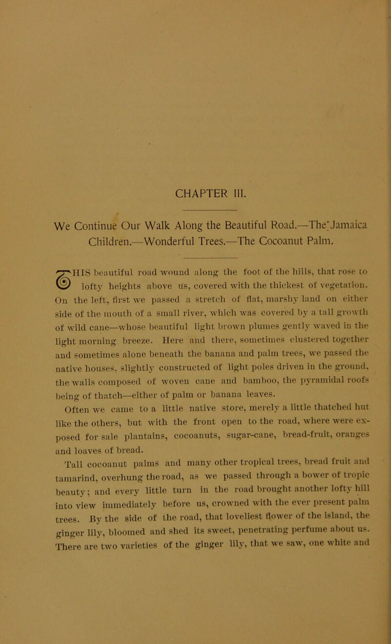 We Continue Our Walk Along the Beautiful Road.—The'Jamaica Children.—Wonderful Trees.—The Cocoanut Palm. IIIS beautiful road wound along the foot of the hills, that rose to \2) lofty heights above us, covered with the thickest of vegetation. On the left, first we passed a stretch of flat, marshy land on either side of the mouth of a small river, which was covered by a tall growth of wild cane—whose beautiful light brown plumes gently waved in the lia-ht morning breeze. Here and there, sometimes clustered together and sometimes alone beneath the banana and palm trees, we passed the native houses, slightly constructed of light poles driven in the ground, the walls composed of woven cane and bamboo, the pyramidal roofs being of thatch—either of palm or banana leaves. Often we came to a little native store, merely a little thatched hut like the others, but with the front open to the road, where were ex- posed for sale plantains, cocoanuts, sugar-cane, bread-fruit, oranges and loaves of bread. Tall cocoanut palms and many other tropical trees, bread fruit and tamarind, overhung the road, as we passed through a bower of tropic beauty; and every little turn in the road brought another lofty hill into view immediately before us, crowned with the evei piesent palm trees. .By the side of the road, that loveliest flower of the island, the ginger lily, bloomed and shed its sweet, penetrating perfume about us. There are two varieties of the ginger lily, that we saw, one white and
