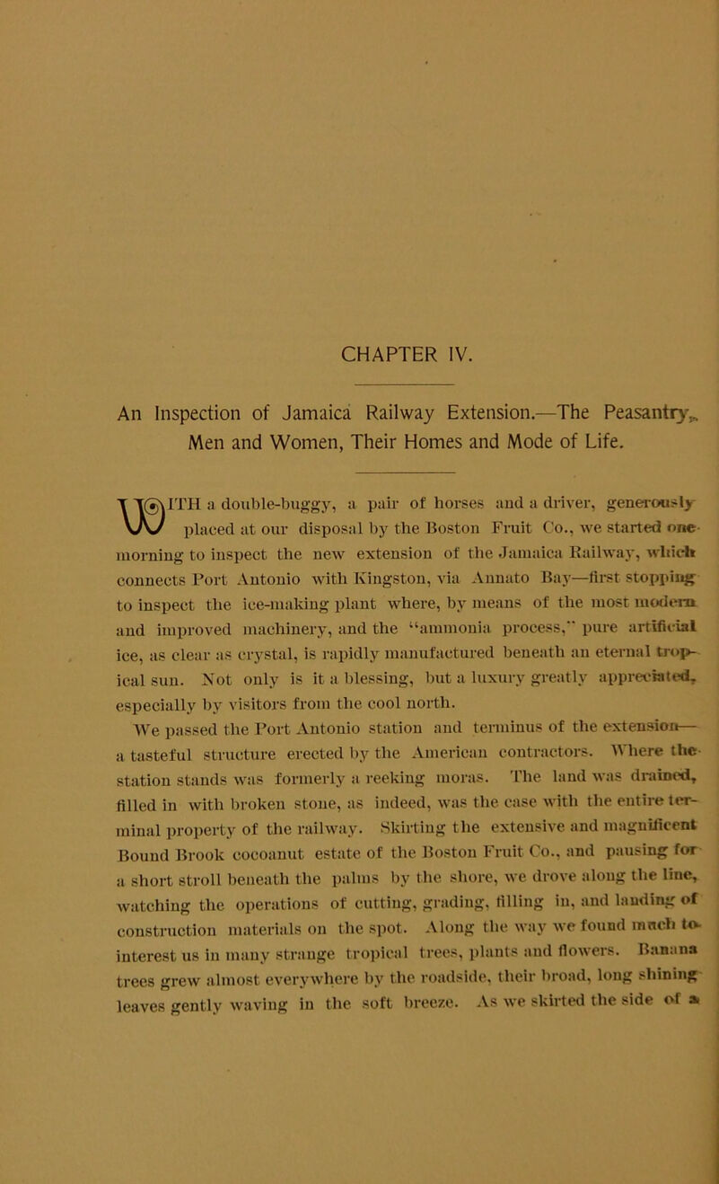 CHAPTER IV. An Inspection of Jamaica Railway Extension.—The Peasantry,.. Men and Women, Their Homes and Mode of Life. ITH a double-buggy, a pair of horses and a driver, generously placed at our disposal by the Boston Fruit Co., we started one morning to inspect the new extension of the Jamaica Railway, which connects Port Antonio with Kingston, via Annato Bay—first stopping to inspect the ice-making plant where, by means of the most modem and improved machinery, and the “ammonia process, pure artificial ice, as clear as crystal, is rapidly manufactured beneath an eternal trop- ical sun. Not only is it a blessing, but a luxury greatly appreciated, especially by visitors from the cool north. We passed the Port Antonio station and terminus of the extension— a tasteful structure erected by the American contractors. Where the station stands was formerly a reeking moras. The land was drained, filled in with broken stone, as indeed, was the case with the entire ter- minal property of the railway. Skirting the extensive and magnificent Bound Brook eocoanut estate of the Boston Fruit Co., and pausing for a short stroll beneath the palms by the shore, we drove along the line, watching the operations of cutting, grading, tilling in, and landing of construction materials on the spot. Along the way we found ranch to- interest us in many strange tropical trees, plants and (lowers. Banana trees grew almost everywhere by the roadside, their broad, long shining leaves gently waving in the soft breeze. As we skirted the side of a.