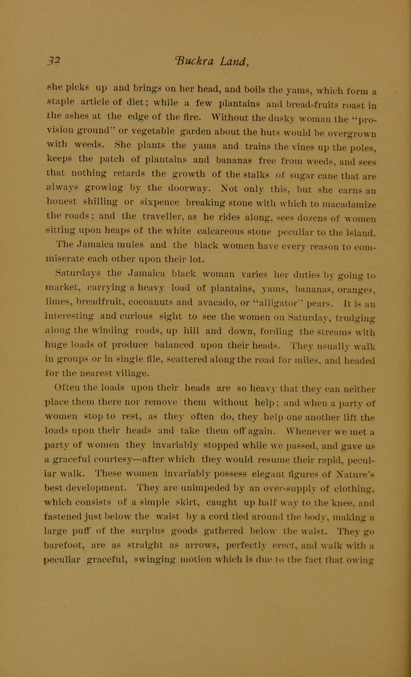 she picks up and brings on her head, and boils the yams, which form a staple article of diet; while a few plantains and bread-fruits roast in the ashes at the edge of the tire. Without the dusky woman the “pro- vision ground or vegetable garden about the huts would be overgrown with weeds. She plants the yams and trains the vines up the poles, keeps the patch of plantains and bananas free from weeds, and sees that nothing retards the growth of the stalks of sugar cane that are always growing by the doorway. Not only this, but she earns an honest shilling or sixpence breaking stone with which to macadamize the roads; and the traveller, as he rides along, sees dozens of women ■sitting upon heaps of the white calcareous stone peculiar to the island. The Jamaica mules and the black women have every reason to com- miserate each other upon their lot. Saturdays the Jamaica black woman varies her duties by going to market, carrying a heavy load of plantains, yams, bananas, oranges, limes, breadfruit, cocoanuts and avacado, or “alligator pears. It is an interesting and curious sight to see the women on Saturday, trudging along the winding roads, up hill and down, fording the streams with huge loads of produce balanced upon their heads. They usually walk iu groups or in single tile, scattered along the road for miles, and headed for the nearest village. Often the loads upon their heads are so heavy that they can neither place them there nor remove them without help; and when a party of women stop to rest, as they often do, they help one another lift the loads upon their heads and take them off again. Whenever we met a party of women they invariably stopped while we passed, and gave us a graceful courtesy—after which they would resume their rapid, pecul- iar walk. These women invariably possess elegant figures of Nature's best development. They are unimpeded by an over-supply of clothing, which consists of a simple skirt, caught up half way to the knee, and fastened just below the waist by a cord tied around the body, making a large puff of the surplus goods gathered below the waist. They go barefoot, tire as straight its arrows, perfectly erect, ami walk with a peculiar graceful, swinging motion which is due to the fact that owing