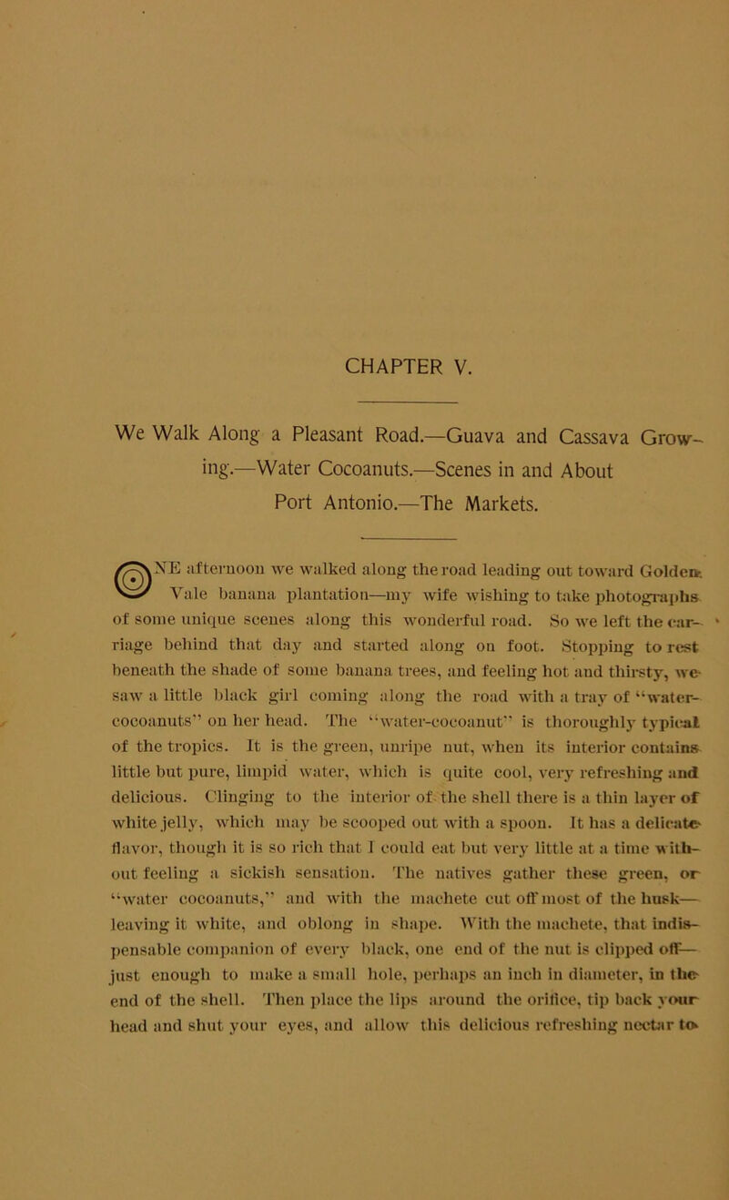 CHAPTER V. We Walk Along a Pleasant Road.—Guava and Cassava Grow- ing.—Water Cocoanuts — Scenes in and About Port Antonio.—The Markets. NE afternoon we walked along the road leading out toward Golden-. Yale banana plantation—my wife wishing to take photographs of some unique scenes along this wonderful road. So we left the car- riage behind that day and started along on foot. Stopping to rest beneath the shade of some banana trees, and feeling hot and thirsty, we- saw a little black girl coming along the road with a tray of “water- cocoanuts” on her head. The “water-coeoanut” is thoroughly typical of the tropics. It is the green, unripe nut, when its interior contains little but pure, limpid water, which is quite cool, very refreshing and delicious. Clinging to the interior of the shell there is a thin layer of white jelly, which may be scooped out with a spoon. It has a delicate- flavor, though it is so rich that 1 could eat but very little at a time with- out feeling a sickisli sensation. The natives gather these green, or “water cocoanuts,” and with the machete cut off most of the husk— leaving it white, and oblong in shape. With the machete, that indis- pensable companion of every black, one end of the nut is clipped oflf— just enough to make a small hole, perhaps an inch in diameter, in the end of the shell. Then place the lips around the orifice, tip back your head and shut your eyes, and allow this delicious refreshing nectar te