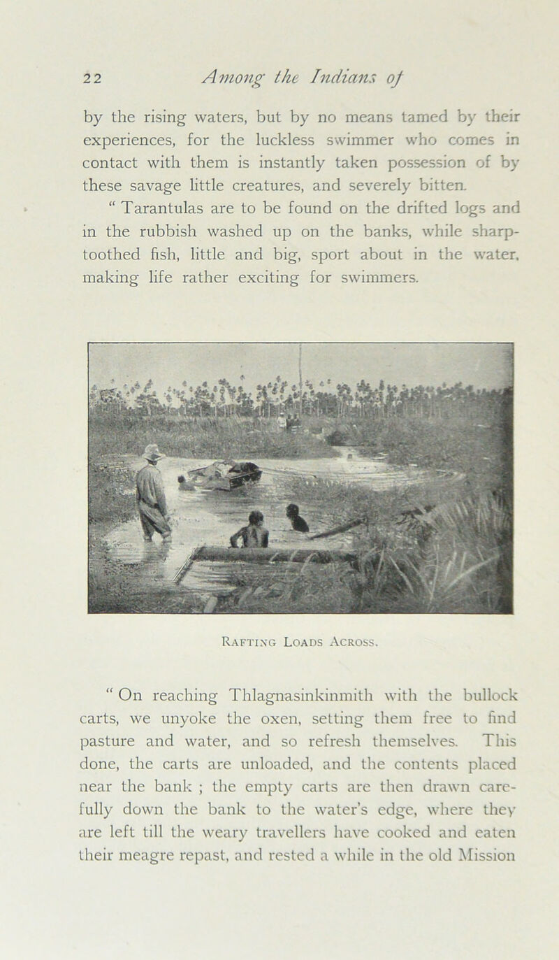 by the rising waters, but by no means tamed by their experiences, for the luckless swimmer who comes in contact with them is instantly taken possession of by these savage little creatures, and severely bitten. “ Tarantulas are to be found on the drifted logs and in the rubbish washed up on the banks, while sharp- toothed fish, little and big, sport about in the water, making life rather exciting for swimmers. Rafting Loads Across. “ On reaching Thlagnasinkinmith with the bullock carts, we unyoke the oxen, setting them free to find pasture and water, and so refresh themselves. This done, the carts are unloaded, and the contents placed near the bank ; the empty carts are then drawn care- fully down the bank to the water’s edge, where they are left till the weary travellers have cooked and eaten their meagre repast, and rested a while in the old Mission