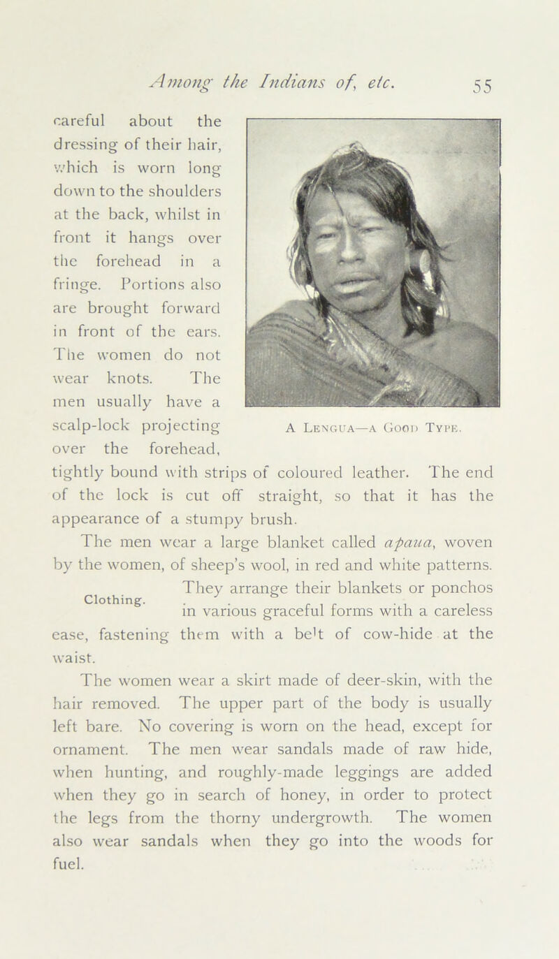 careful about the dressing of their hair, which is worn long down to the shoulders at the back, whilst in front it hangs over the forehead in a fringe. Portions also are brought forward in front of the ears. The women do not wear knots. The men usually have a scalp-lock projecting over the forehead, tightly bound with strips of coloured leather. The end of the lock is cut off straight, so that it has the appearance of a stumpy brush. The men wear a large blanket called apaua, woven by the women, of sheep’s wool, in red and white patterns. They arrange their blankets or ponchos Clothing. . 7 ... in various graceful forms with a careless ease, fastening them with a be't of cow-hide at the waist. The women wear a skirt made of deer-skin, with the hair removed. The upper part of the body is usually left bare. No covering is worn on the head, except for ornament. The men wear sandals made of raw hide, when hunting, and roughly-made leggings are added when they go in search of honey, in order to protect the legs from the thorny undergrowth. The women also wear sandals when they go into the woods for fuel. A Lengua—a Good Type.