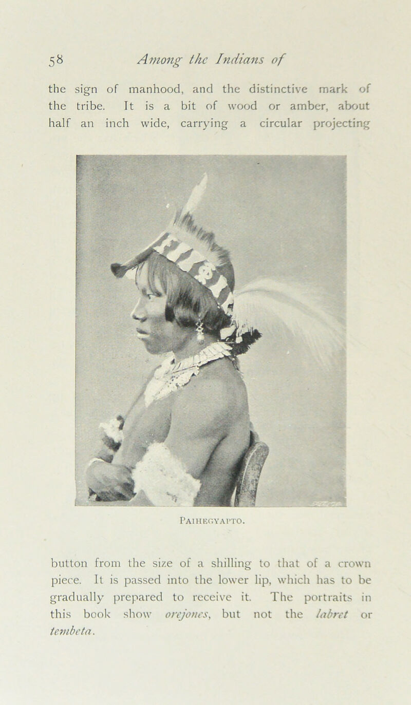 the sign of manhood, and the distinctive mark of the tribe. It is a bit of wood or amber, about half an inch wide, carrying a circular projecting button from the size of a shilling to that of a crown piece. It is passed into the lower lip, which has to be gradually prepared to receive it. The portraits in this book show onjones, but not the labret or tenibeta.