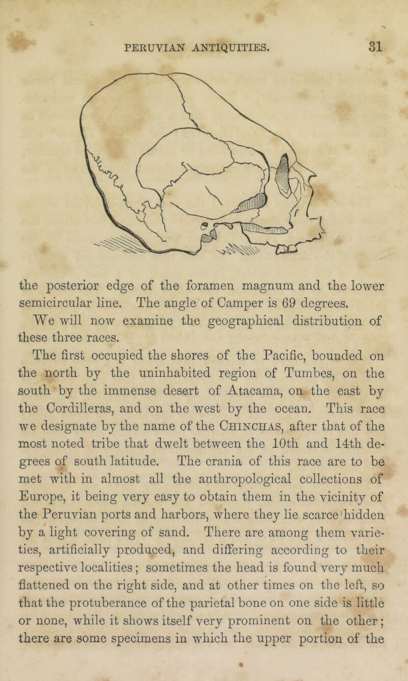 the posterior edge of the foramen magnum and the lower semicircular line. The angle of Camper is 69 degrees. We will now examine the geographical distribution of these three races. The first occupied the shores of the Pacific, bounded on the north by the uninhabited region of Tumbes, on the south by the immense desert of Atacama, on the east by the Cordilleras, and on the west by the ocean. This race we designate by the name of the Chinchas, after that of the most noted tribe that dwelt between the 10th and 14:th de- grees of south latitude. The crania of this race are to be met with in almost all the anthropological collections of Europe, it being very easy to obtain them in the vicinity of the Peruvian ports and harbors, where they lie scarce'hidden by a light covering of sand. There are among them varie- ties, artificially produced, and differing according to their respective localities; sometimes the head is found very much flattened on the right side, and at other times on the left, so that the protuberance of the parietal bone on one side is little or none, while it shows itself very prominent on the other; there are some specimens in which the upper portion of the