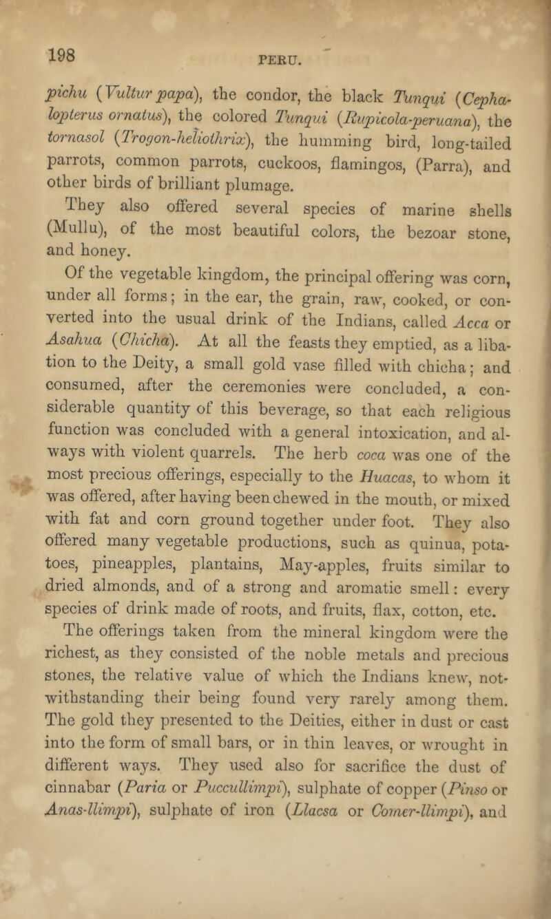 PEEU. pichu {Vulturpapa), the condor, the black Tunqui {Cepha- lopterus ornatus), the colored Tunqui {Rupicolaperuana), the tornasol {Trogon-helwlhnx), the humming bird, long-tailed parrots, common parrots, cuckoos, flamingos, (Parra), and other birds of brilliant plumage. They also offered several species of marine shells (Mullu), of the most beautiful colors, the bezoar stone, and honey. Of the vegetable kingdom, the principal offering was corn, under all forms; in the ear, the grain, raw, cooked, or con- verted into the usual drink of the Indians, called Acca or Asahua {Chicha). At all the feasts they emptied, as a liba- tion to the Deity, a small gold vase filled with chicha; and consumed, after the ceremonies were concluded, a con- siderable quantity ot this beverage, so that each religious function was concluded with a general intoxication, and al- ways with violent quarrels. The herb coca ^vas one of the most precious offerings, especially to the Huacas, to whom it was offered, after having been chewed in the mouth, or mixed with fat and corn ground together under foot. They also offered many vegetable productions, such as quinua, pota- toes, pineapples, plantains, May-apples, fruits similar to dried almonds, and of a strong and aromatic smell: every species of drink made of roots, and fruits, flax, cotton, etc. The offerings taken from the mineral kingdom were the richest, as they consisted of the noble metals and precious stones, the relative value of which the Indians knew, not- withstanding their being found very rarely among them. The gold they presented to the Deities, either in dust or cast into the form of small bars, or in thin leaves, or wrought in different ways. They used also for sacrifice the dust of cinnabar {Paria or Puccullimpi), sulphate of copper {Pinso or Anas-llimpr), sulphate of iron {Llacsa or Coraer-llimpi), and