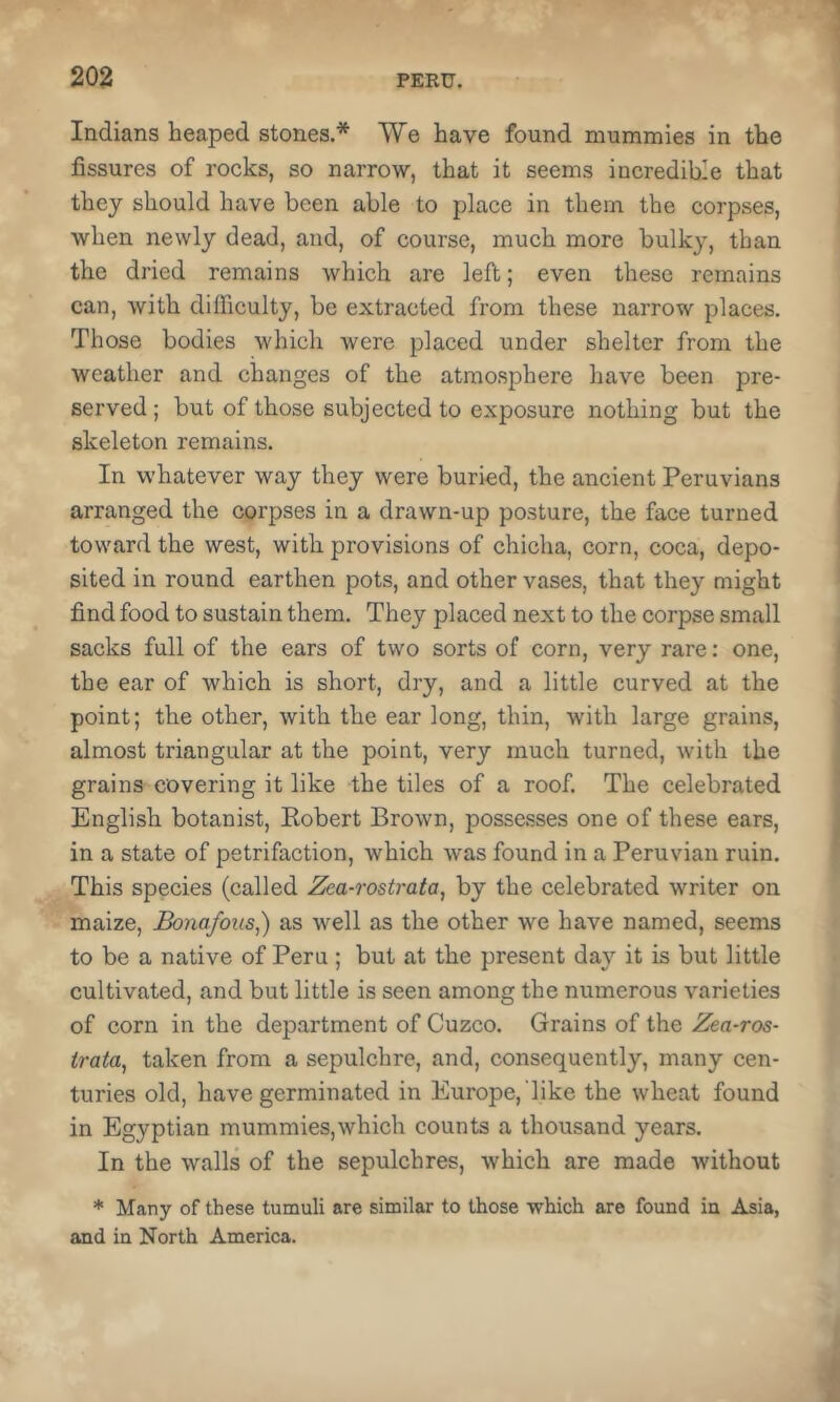 Indians heaped stones.* Vie have found mummies in the fissures of rocks, so narrow, that it seems incredible that they should have been able to place in them the corpses, when newly dead, and, of course, much more bulky, than the dried remains which are left; even these remains can, with difficulty, be extracted from these narrow places. Those bodies which were placed under shelter from the weather and changes of the atmosphere have been pre- served ; but of those subjected to exposure nothing but the skeleton remains. In whatever way they were buried, the ancient Peruvians arranged the corpses in a drawn-up posture, the face turned toward the west, with provisions of chicha, corn, coca, depo- sited in round earthen pots, and other vases, that they might find food to sustain them. They placed next to the corpse small sacks full of the ears of two sorts of corn, very rare: one, the ear of which is short, dry, and a little curved at the point; the other, with the ear long, thin, with large grains, almost triangular at the point, very much turned, with the grains covering it like the tiles of a roof. The celebrated English botanist, Eobert Brown, posse.sses one of these ears, in a state of petrifaction, which was found in a Peruvian ruin. This species (called Zea-rostrata, by the celebrated writer on maize, Bonafous,) as well as the other we have named, seems to be a native of Peru ; but at the present day it is but little cultivated, and but little is seen among the numerous varieties of corn in the department of Cuzco. Grains of the Zea-ros- trata, taken from a sepulchre, and, consequently, many cen- turies old, have germinated in Europe, like the wheat found in Egyptian mummies,which counts a thousand years. In the walls of the sepulchres, which are made without * Many of these tumuli are similar to those which are found in Asia, and in North America.