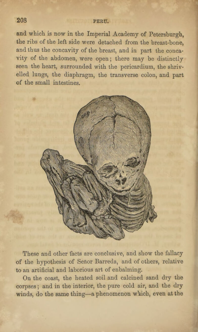 and which is now in the Imperial Academy of Petersburgh, the ribs of the left side were detached from the breast-bone, and thus the concavity of the breast, and in part the conca- vity of the abdomen, were open; there may be distinctly seen the heart, surrounded with the pericardium, the shriv- elled lungs, the diaphragm, the transverse colon, and part of the small intestines. These and other facts are conclusive, and show the fallacy of the hypothesis of Senor Barreda, and of others, relative to an artificial and laborious art of enbalming. On the coast, the heated soil and calcined sand dry the corpses; and in the interior, the pure cold air, and the dry winds, do the same thing—a phenomenon w^ich, even at the