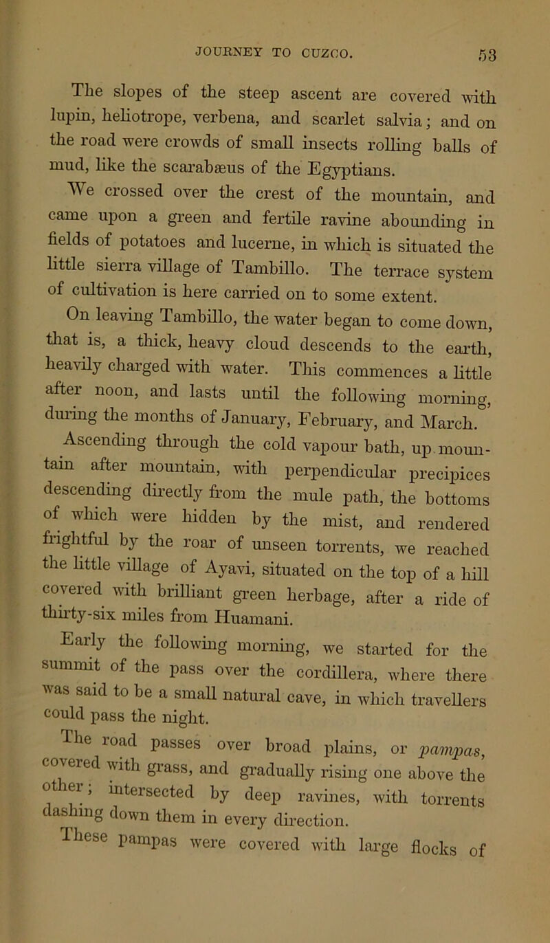 The slopes of the steep ascent are covered with lupin, heliotrope, verbena, and scarlet salvia; and on the road were crowds of small insects rolling balls of mud, like the scarabasus of the Egyptians. We crossed over the crest of the mountain, and came upon a green and fertile ravine abounding in fields of potatoes and lucerne, in which is situated the little sierra village of Tambillo. The terrace system of cultivation is here carried on to some extent. On leaving Tambillo, the water began to come down, that is, a thick, heavy cloud descends to the earth, heavily charged with water. This commences a little aftei noon, and lasts until the following morning, during the months of January, February, and March. Ascending through the cold vapour bath, up moun- tain after mountain, with perpendicular precipices descending directly from the mule path, the bottoms of which were hidden by the mist, and rendered fiightful by the roar of unseen torrents, we reached the little village of Ayavi, situated on the top of a hill covered with brilliant green herbage, after a ride of thirty-six miles from Huamani. Early the following morning, we started for the summit of the pass over the cordillera, where there as said to be a small natural cave, in which travellers could pass the night. The road passes over broad plains, or pampas, covered with grass, and gradually rising one above the ot lei , intersected by deep ravines, with torrents i as nng down them in every direction. These pampas were covered with large flocks of