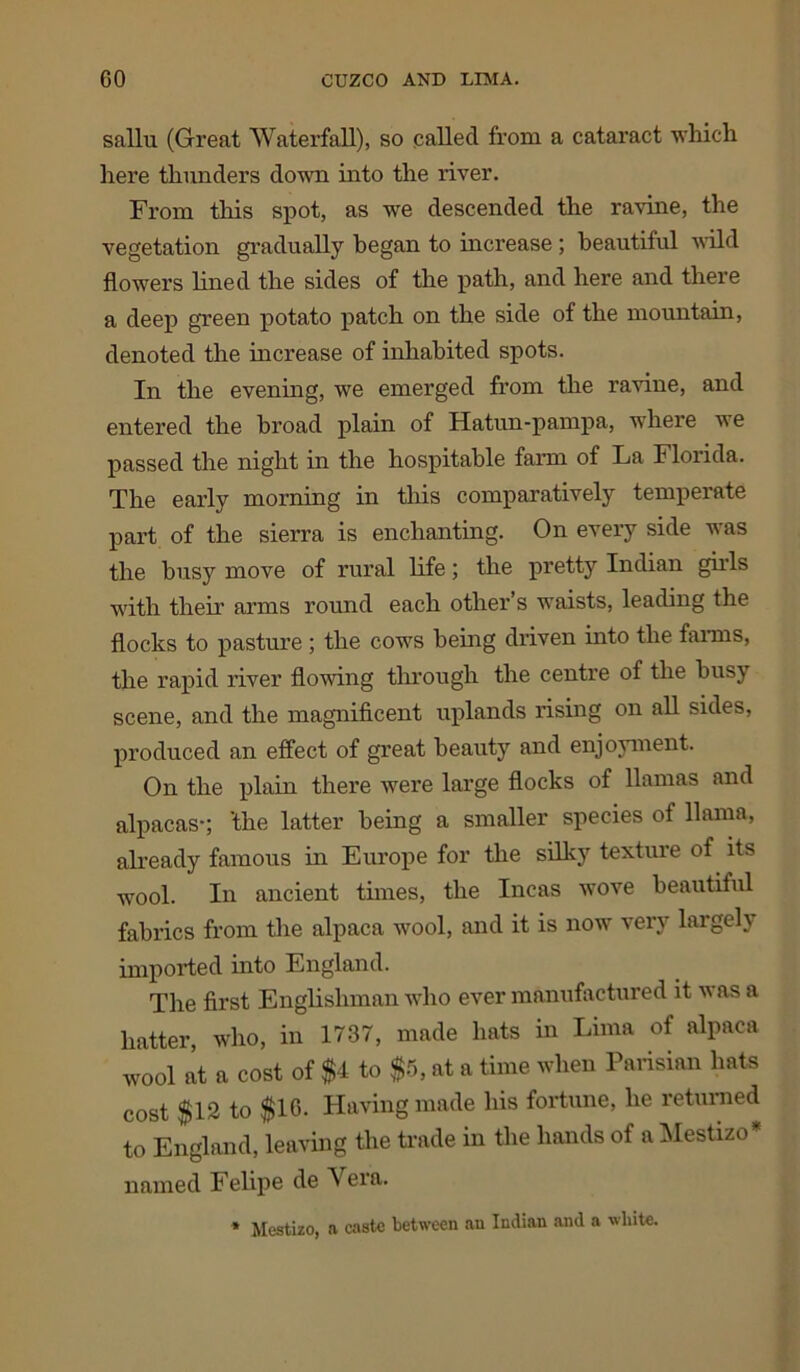 sallu (Great Waterfall), so called from a cataract which here thunders down into the river. From this spot, as we descended the ravine, the vegetation gradually began to increase ; beautiful wild flowers lined the sides of the path, and here and there a deep green potato patch on the side of the mountain, denoted the increase of inhabited spots. In the evening, we emerged from the ravine, and entered the broad plain of Hatun-pampa, where we passed the night in the hospitable fann of La Florida. The early morning in this comparatively temperate part of the sierra is enchanting. On every side was the busy move of rural life; the pretty Indian girls with their arms round each other’s waists, leading the flocks to pasture ; the cows being driven into the farms, the rapid river flowing through the centre of the busy scene, and the magnificent uplands rising on all sides, produced an effect of great beauty and enjoyment. On the plain there were large flocks of llamas and alpacas-; 'the latter being a smaller species of llama, already famous in Europe for the silky texture of its wool. In ancient times, the Incas wove beautiful fabrics from the alpaca wool, and it is now very largely imported into England. The first Englishman who ever manufactured it was a hatter, who, in 1737, made hats in Lima of alpaca wool at a cost of $4 to $5, at a time when Parisian hats cost $12 to $16. Having made his fortune, he returned to England, leaving the trade in the hands of a Mestizo* named Felipe de V era. * Mestizo, a caste between an Indian and a white.