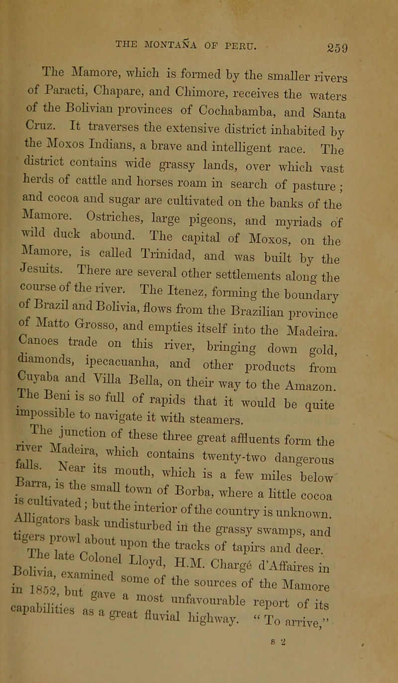 The Mamore, which is formed by the smaller rivers of Paracti, Chapare, and Chimore, receives the waters of the Bohvian provinces of Cochabamba, and Santa Cruz. It traverses the extensive district inhabited by the Moxos Indians, a brave and intelligent race. The district contains wide grassy lands, over which vast herds of cattle and horses roam in search of pasture ; and cocoa and sugar are cultivated on the banks of the Mamore. Ostriches, large pigeons, and myriads of wild duck abound. The capital of Moxos, on the Mamore, is called Trinidad, and was built by the Jesuits. There are several other settlements along the course of the river. The Itenez, forming the boundary ot Brazil and Bolivia, flows from the Brazilian province of Matto Grosso, and empties itself into the Madeira. anoes trade on this river, bringing down gold, diamonds, ipecacuanha, and other products from uyaba and Villa Bella, on their way to the Amazon. . 16 Bem 1S so fuU of rapids that it would be quite impossible to navigate it with steamers. • T!ieJnrti011 °f these three great affluents form the fallT  v CUa’ WlllCh contams twenty-two dangerous Bam, • T ltS m°Uth’ WHcl1 is a few miles below is culW I' I1!t0Wn °f B°rba’ Wh6re a little c°eoa Allin-ator ’ i Ut 116 mten°r oftlie country is unknown. timers proVb in the g'rassy swamps, and °The 1 ? r !° UP°n tbe tracks of taP^ “d deer, e late Colonel Lloyd, H.M. Charge d’Affaires in ^ sources of the Mamore capabilities as a great fluvial highway. » To