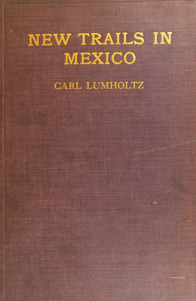 No text description is available for this image