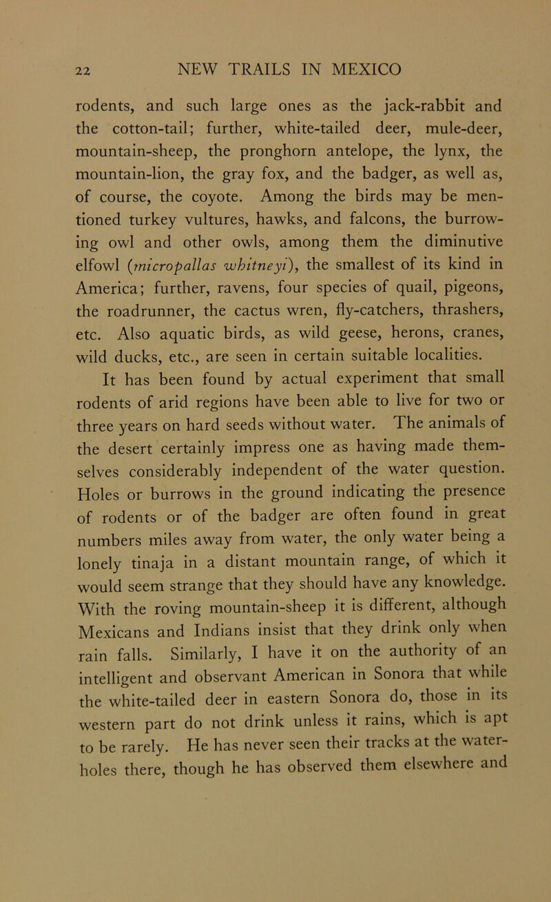 rodents, and such large ones as the jack-rabbit and the cotton-tail; further, white-tailed deer, mule-deer, mountain-sheep, the pronghorn antelope, the lynx, the mountain-lion, the gray fox, and the badger, as well as, of course, the coyote. Among the birds may be men- tioned turkey vultures, hawks, and falcons, the burrow- ing owl and other owls, among them the diminutive elfowl (micropallas whntneyi), the smallest of its kind in America; further, ravens, four species of quail, pigeons, the roadrunner, the cactus wren, fly-catchers, thrashers, etc. Also aquatic birds, as wild geese, herons, cranes, wild ducks, etc., are seen in certain suitable localities. It has been found by actual experiment that small rodents of arid regions have been able to live for two or three years on hard seeds without water. The animals of the desert certainly impress one as having made them- selves considerably independent of the water question. Holes or burrows in the ground indicating the presence of rodents or of the badger are often found in great numbers miles away from water, the only water being a lonely tinaja in a distant mountain range, of which it would seem strange that they should have any knowledge. With the roving mountain-sheep it is different, although Mexicans and Indians insist that they drink only when rain falls. Similarly, I have it on the authority of an intelligent and observant American in Sonora that while the white-tailed deer in eastern Sonora do, those in its western part do not drink unless it rains, which is apt to be rarely. He has never seen their tracks at the water- holes there, though he has observed them elsewhere and