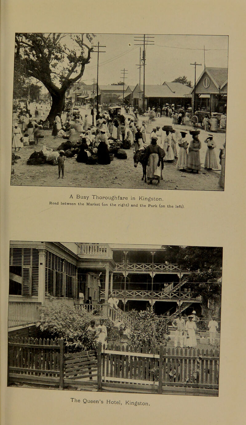 A Busy Thoroughfare in Kingston. Road between the Market (on the right) and the Park (on the left).
