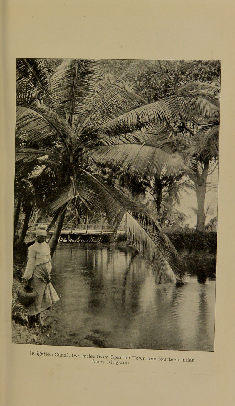 Irrigation Canal, two miles from Spanish Town from Kingston. and fourteen miles