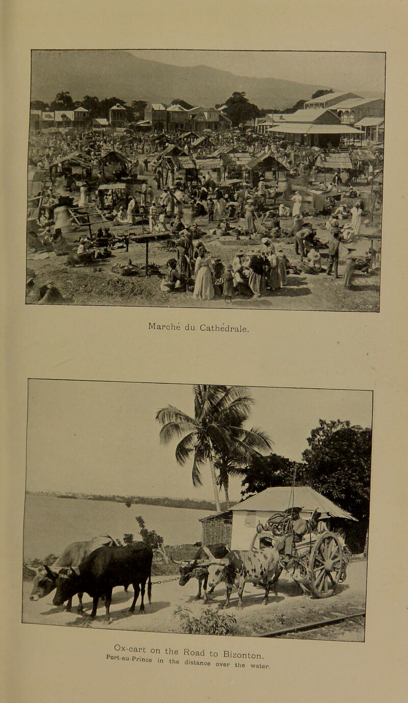 Marche du Cathedrale. Port o't °n the Road t0 B oft.au-Prince in the distance over